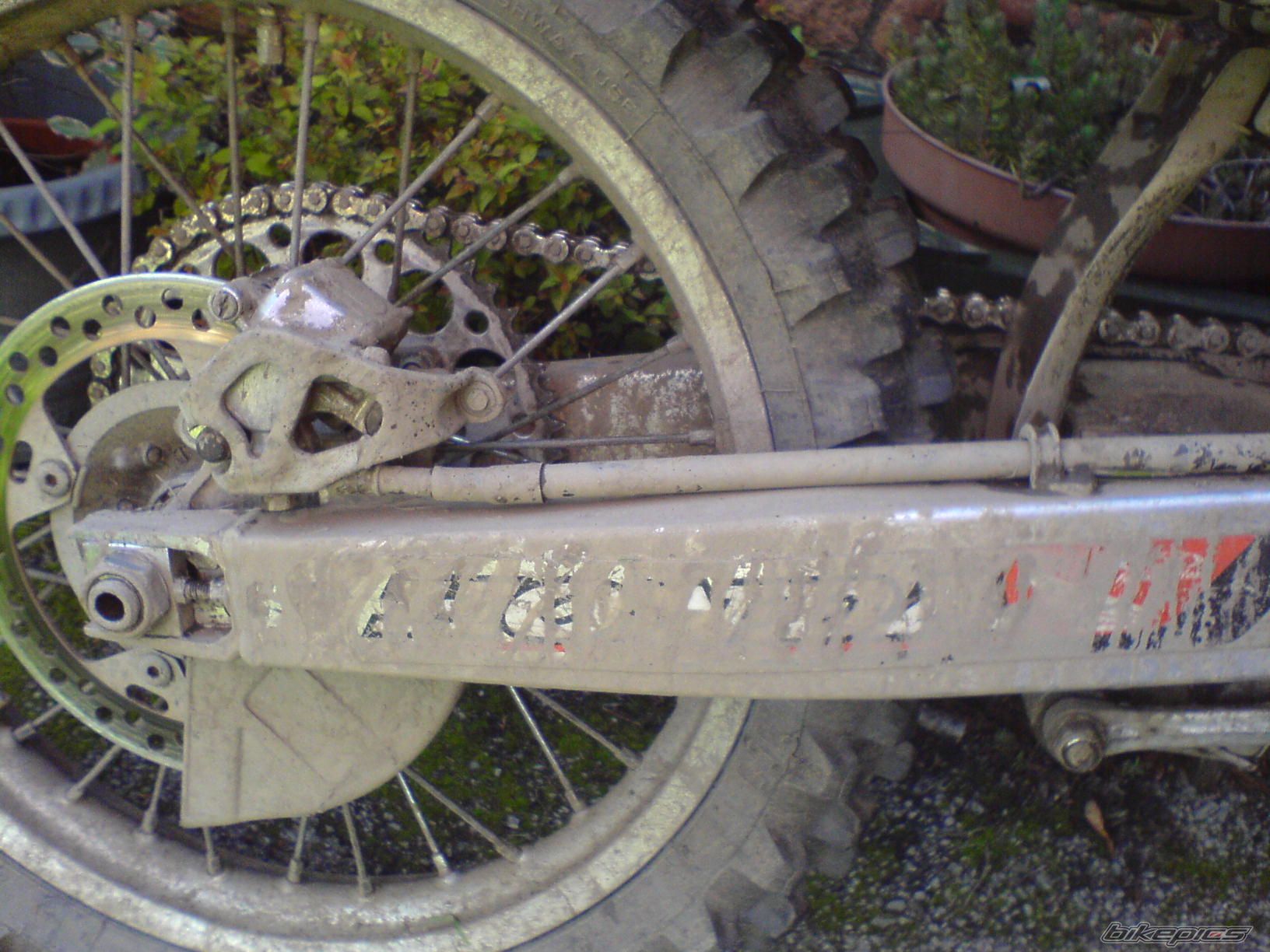 Photo 979292