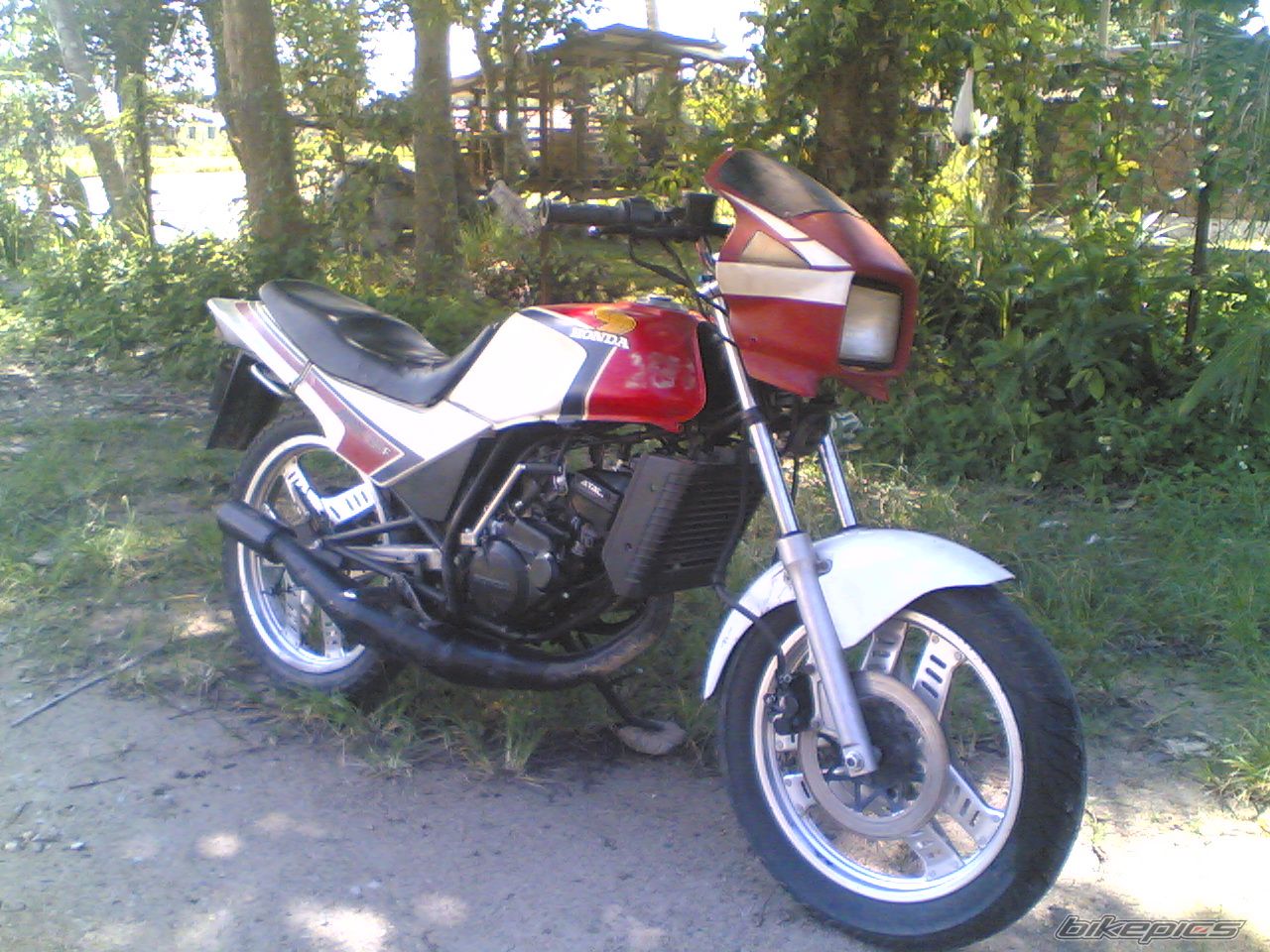 Photo 979317