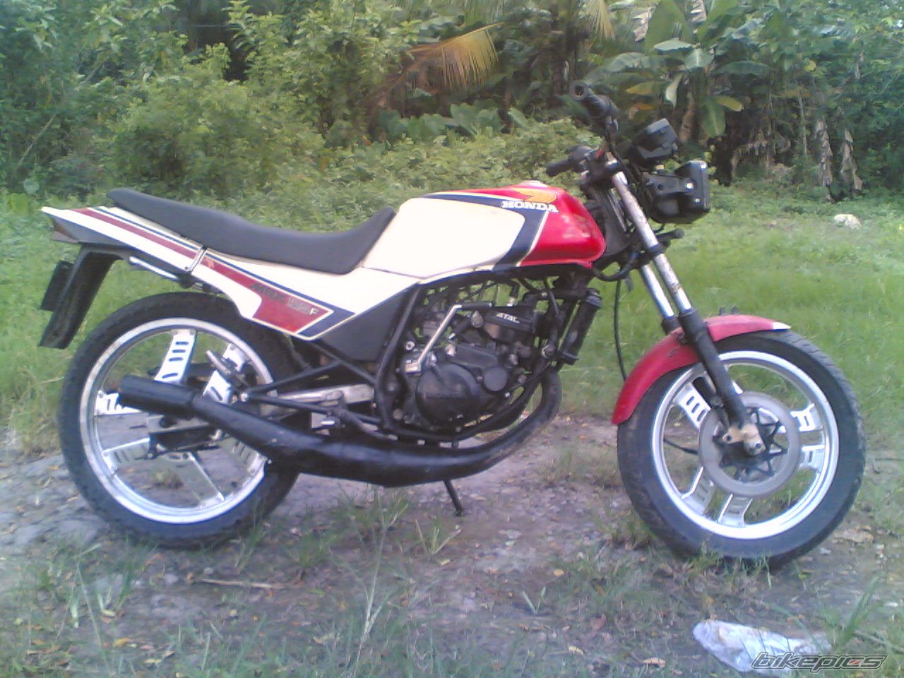 Photo 979332