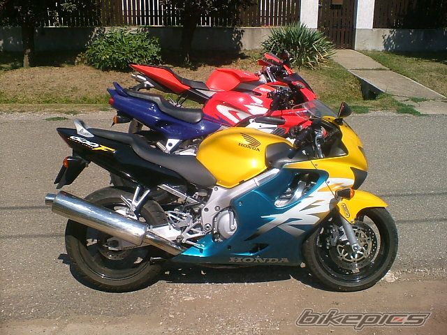 Photo 979342