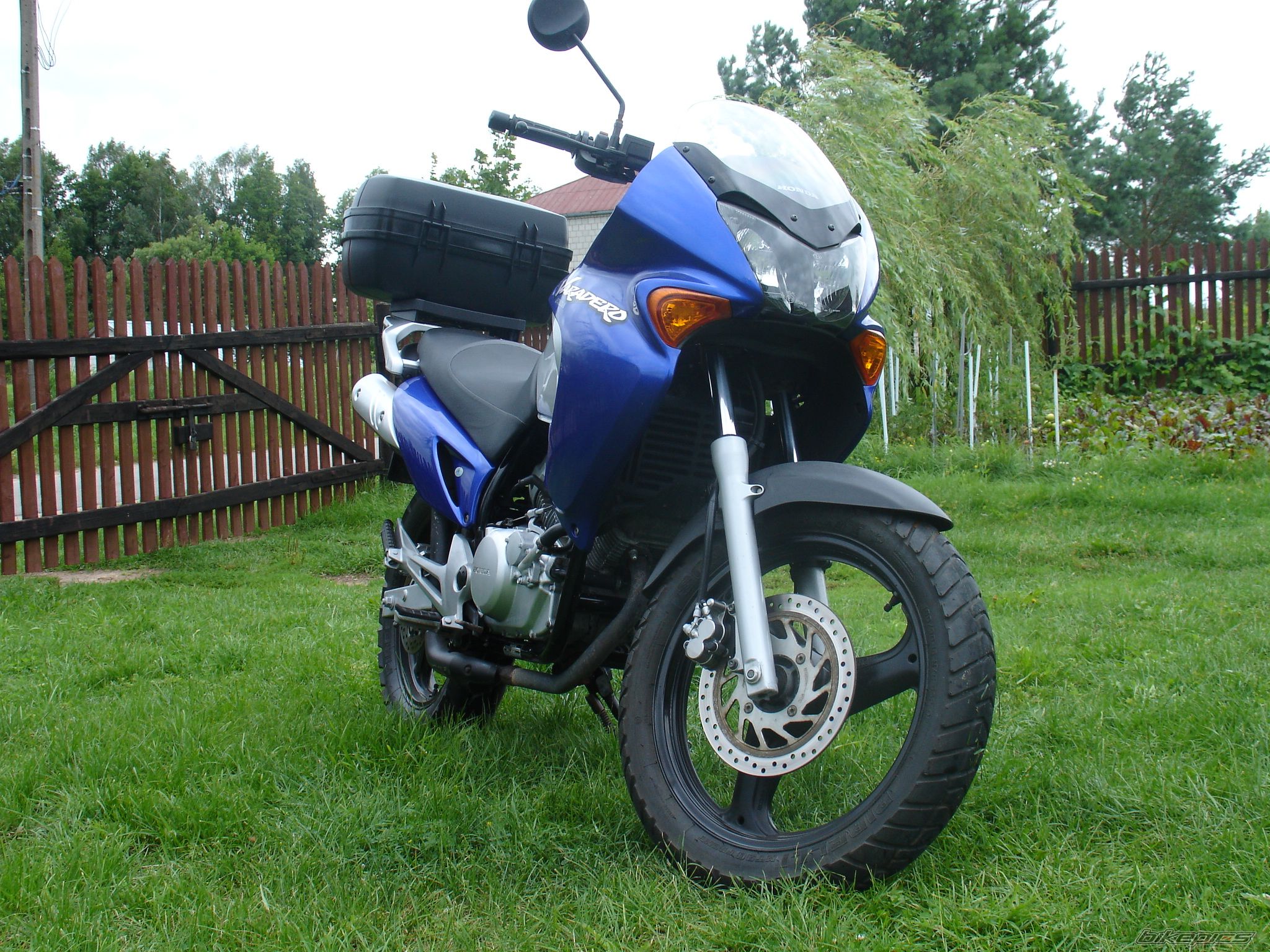 Photo 979352