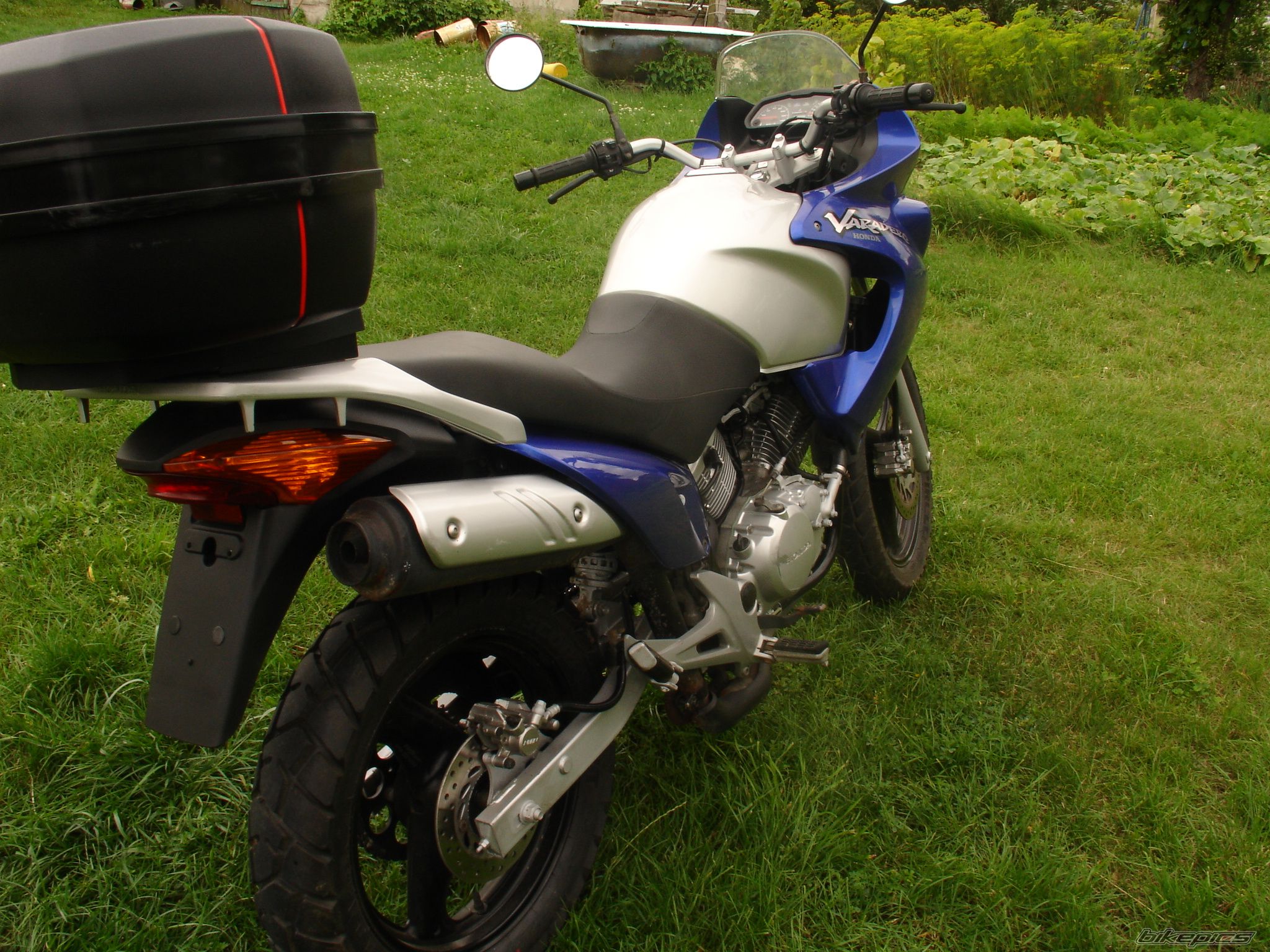 Photo 979364
