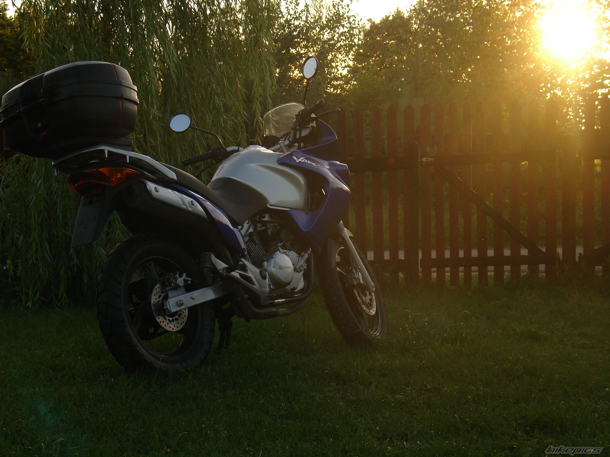 Photo 979372