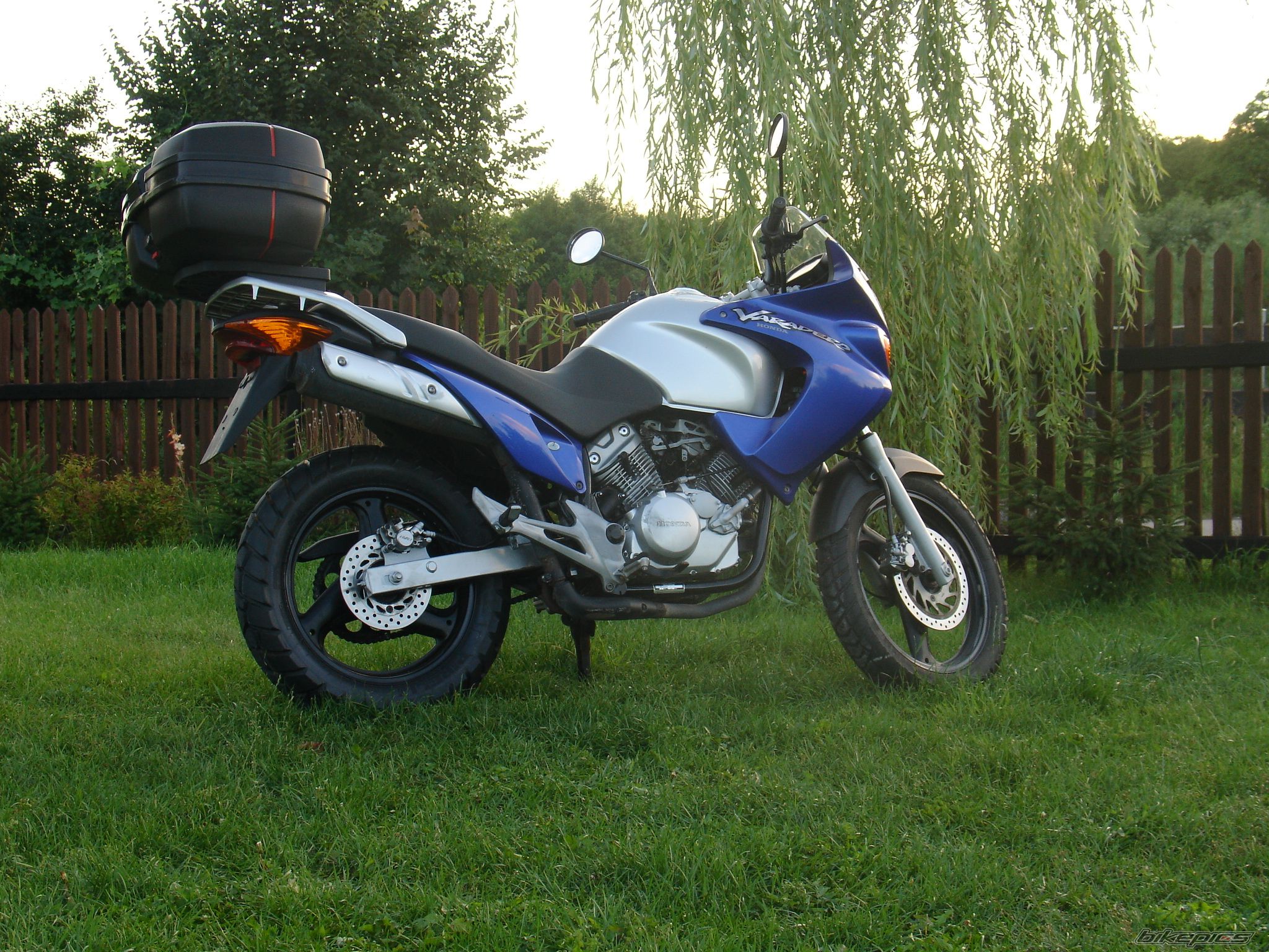 Photo 979378