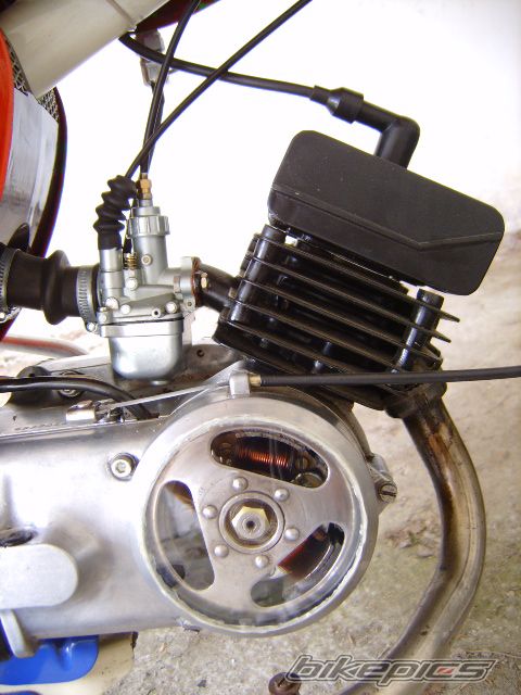 Photo 979424
