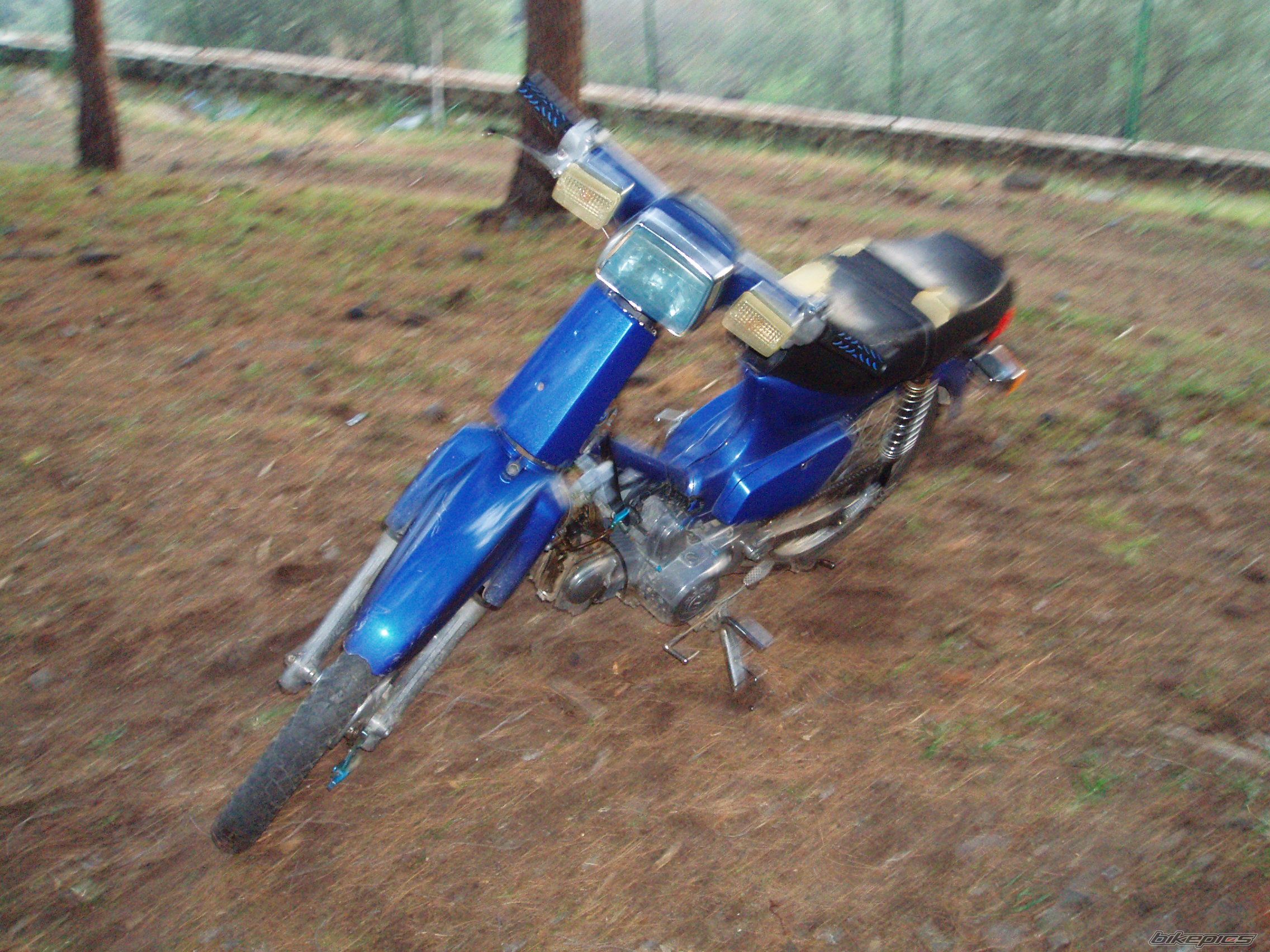 Photo 979464