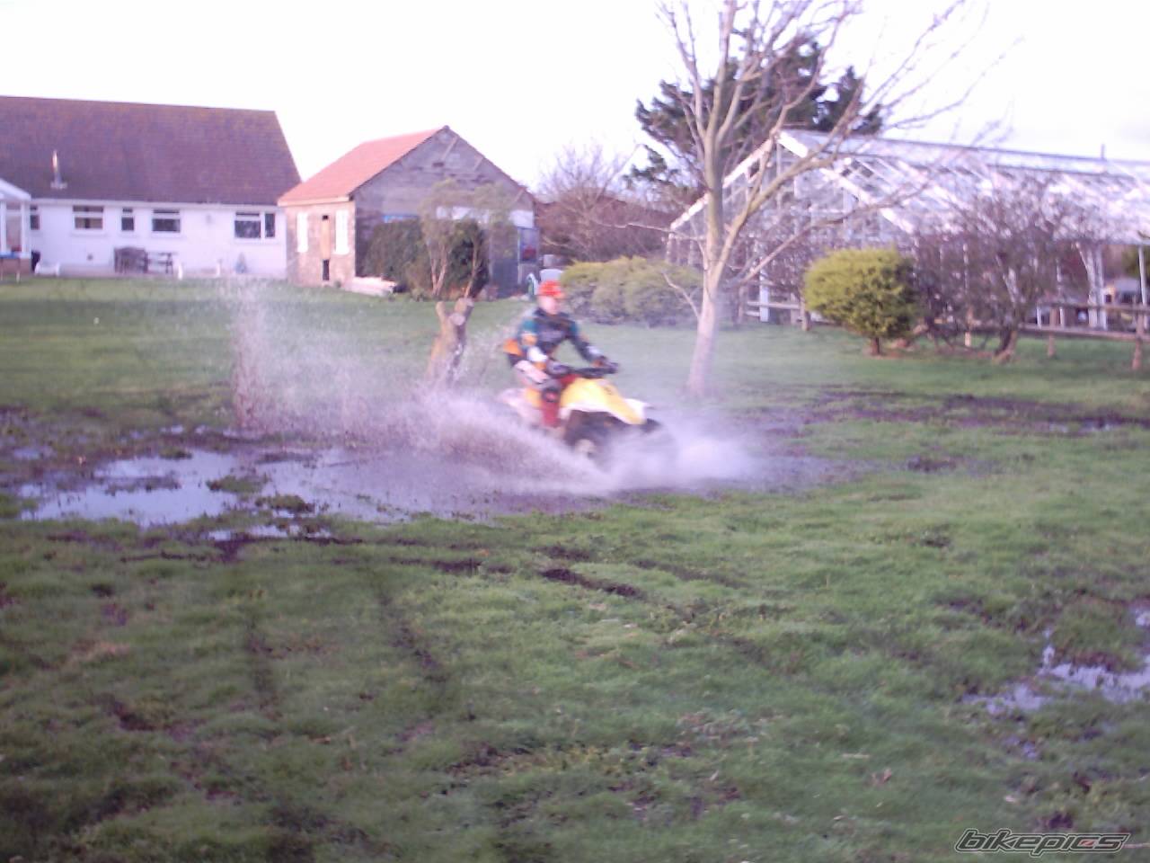 Photo 97951