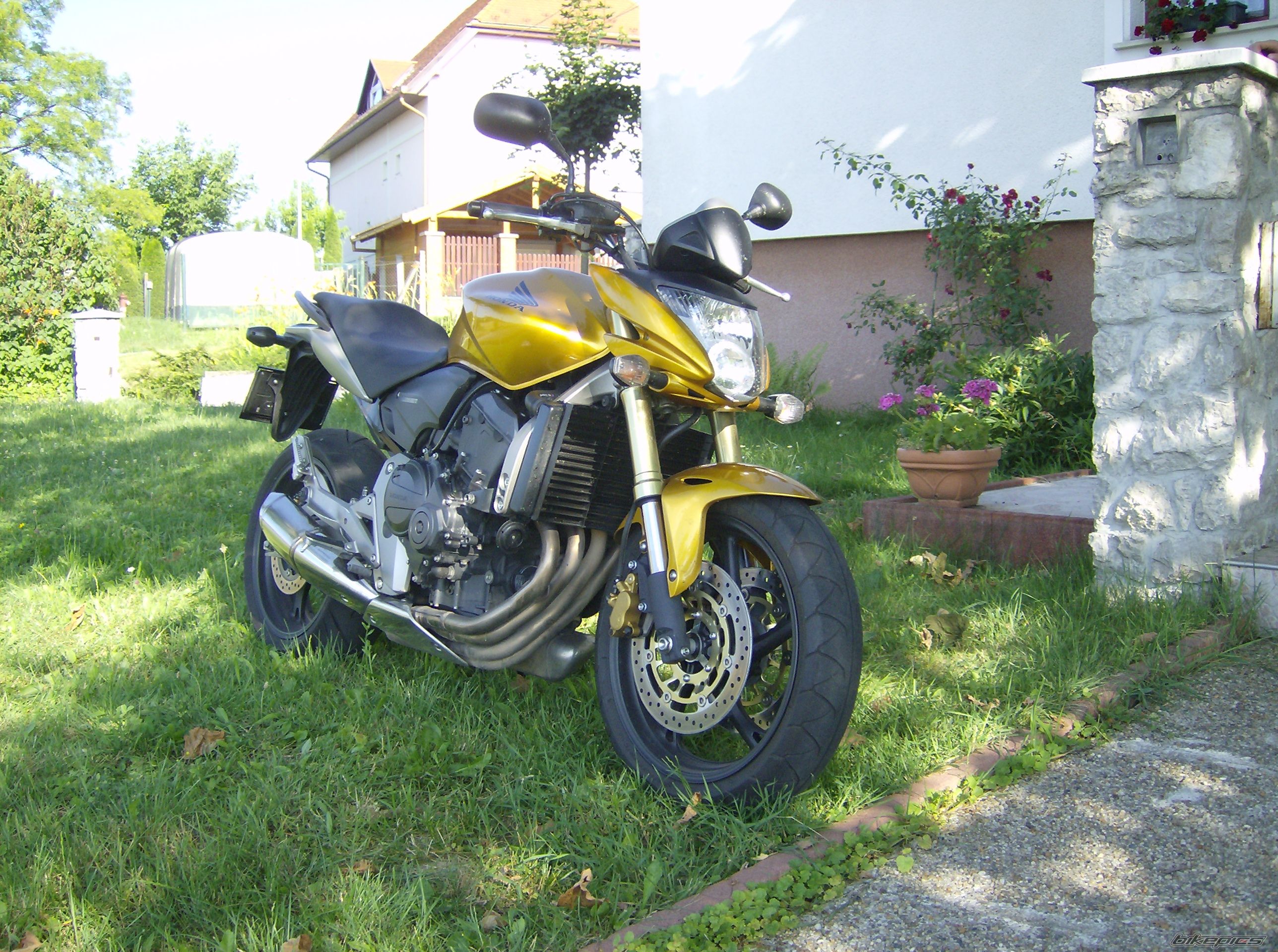 Bike Photo 979518