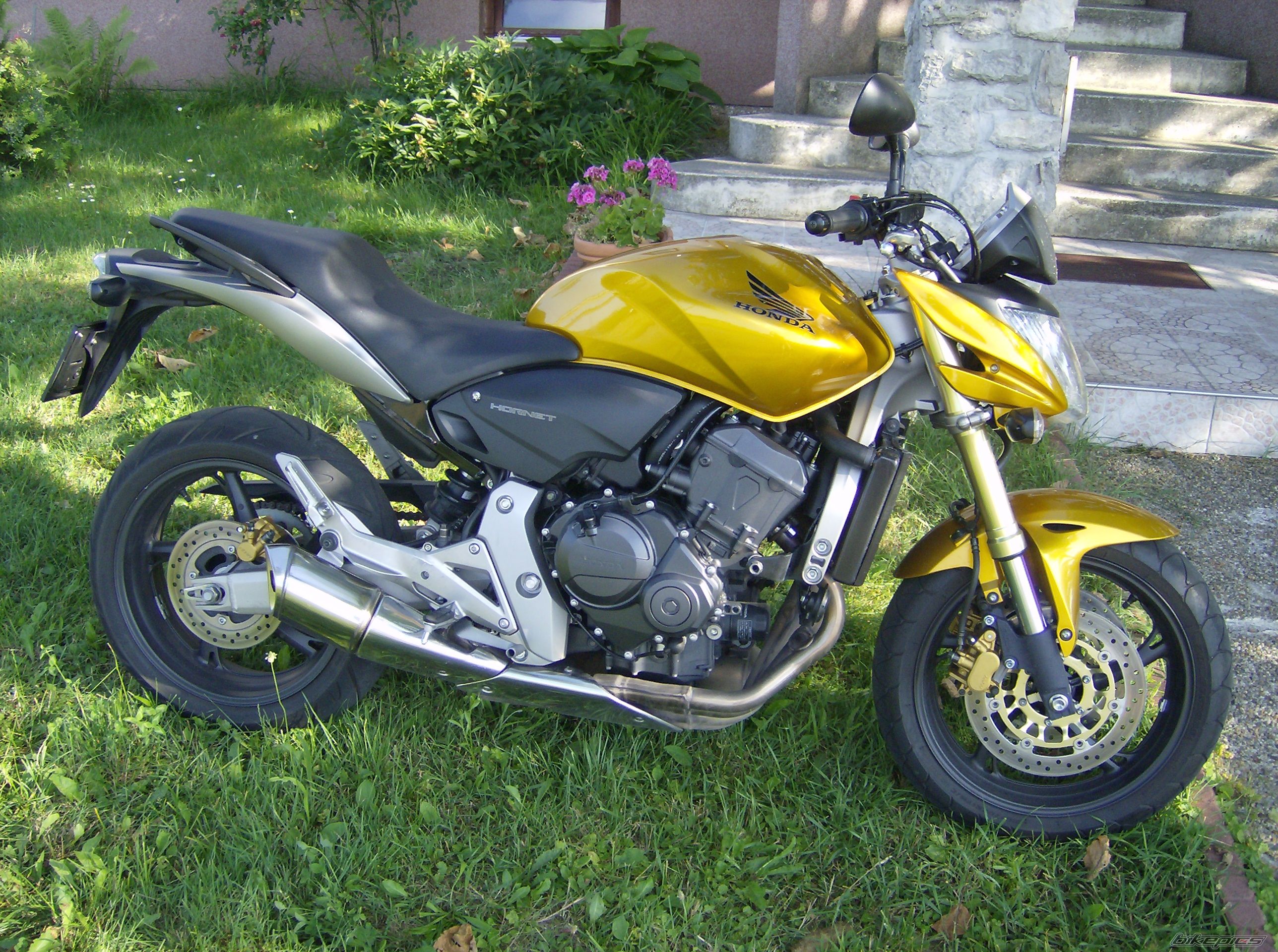 Bike Photo 979533