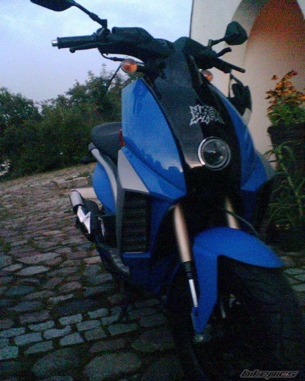 Photo 979599
