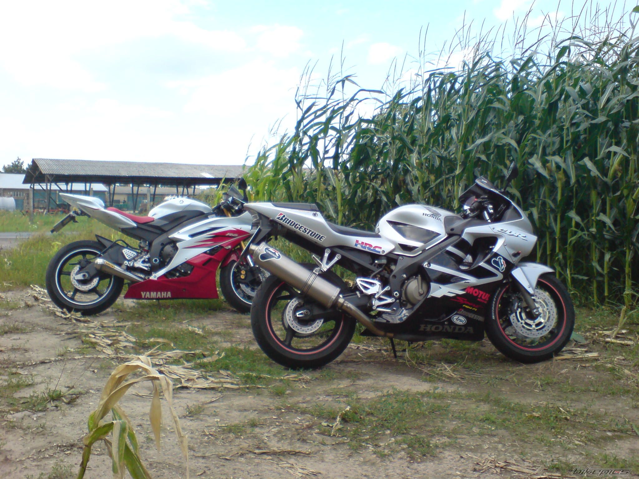 Photo 979785