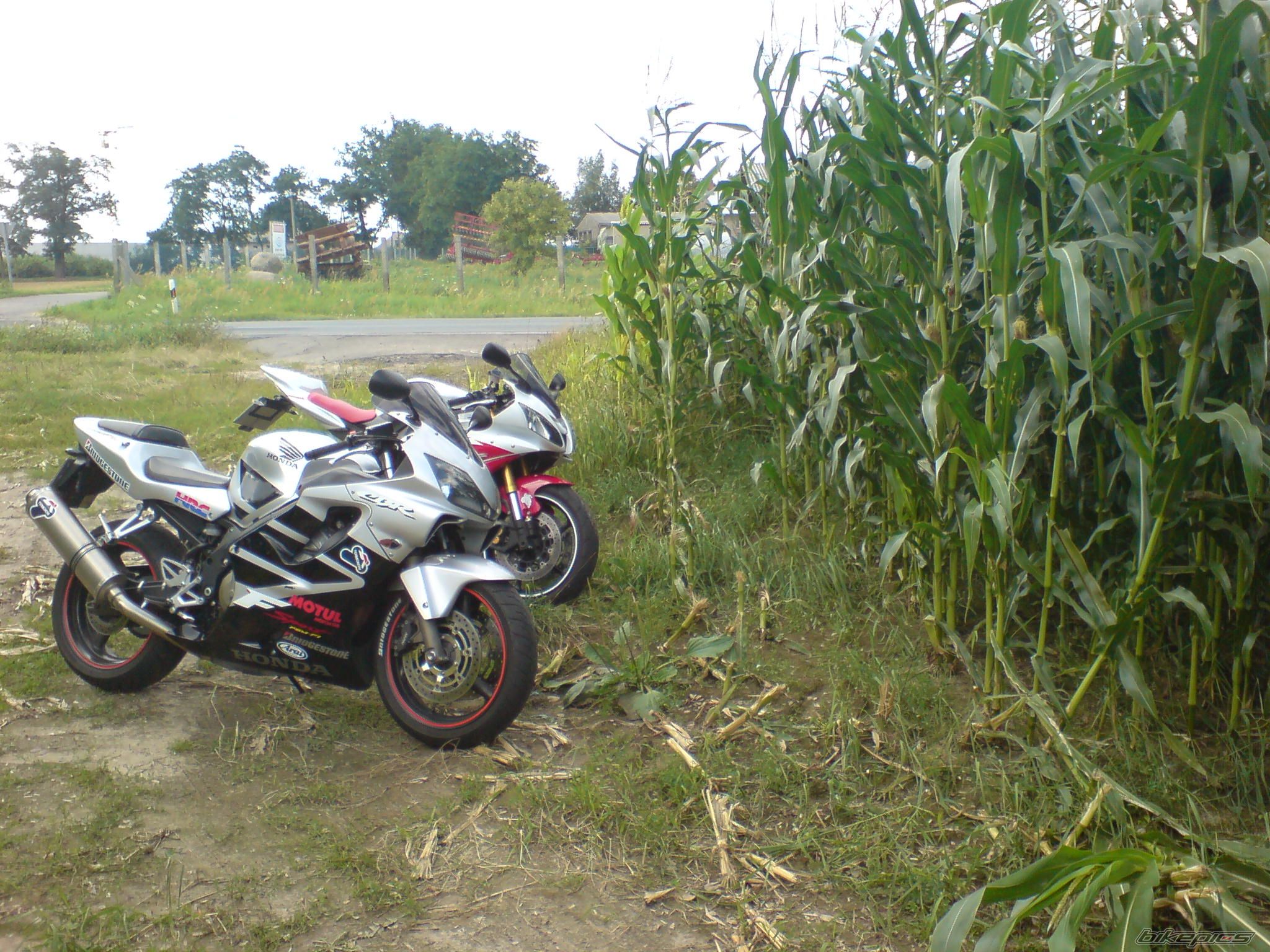 Photo 979789