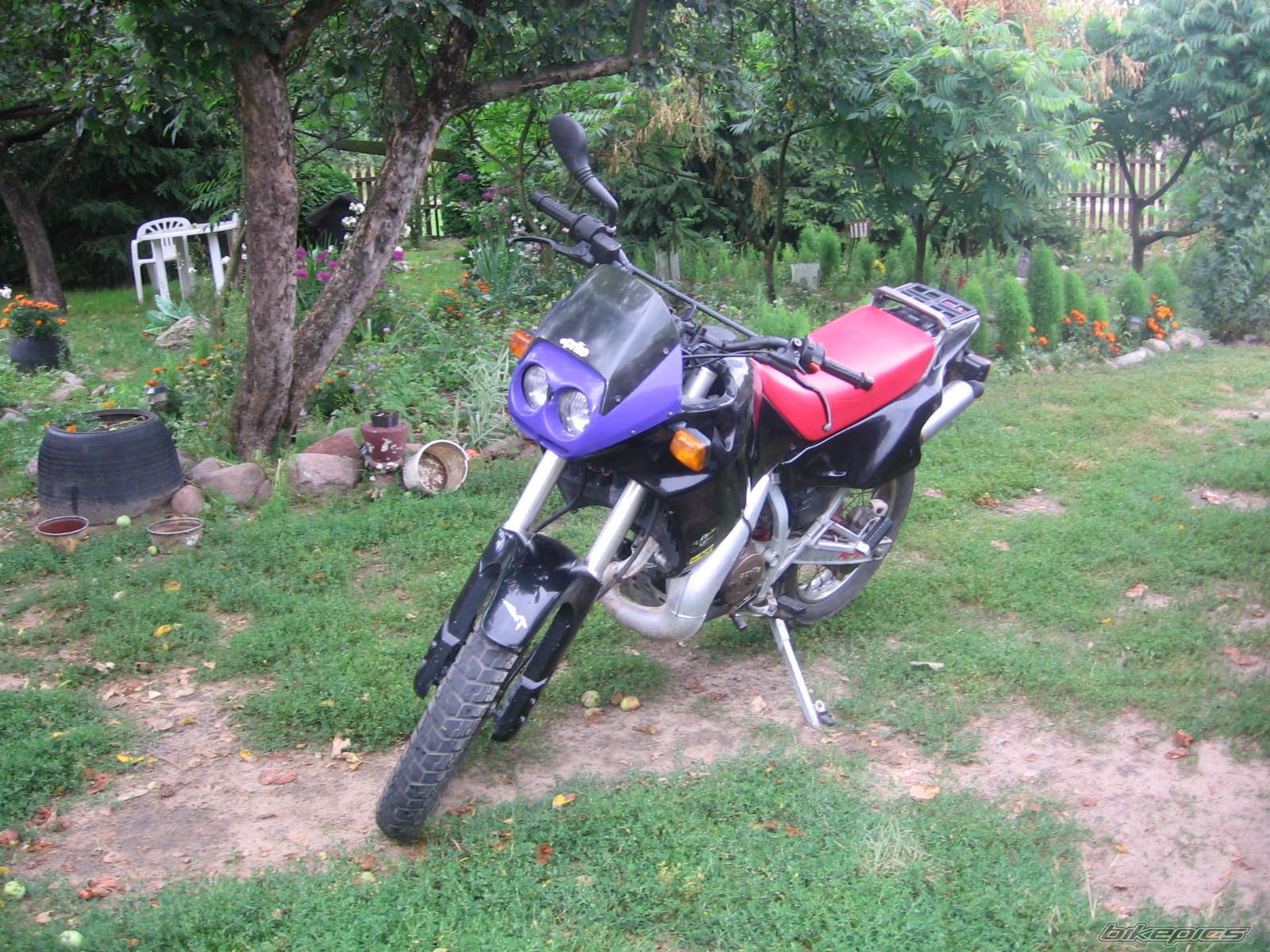 Photo 979848