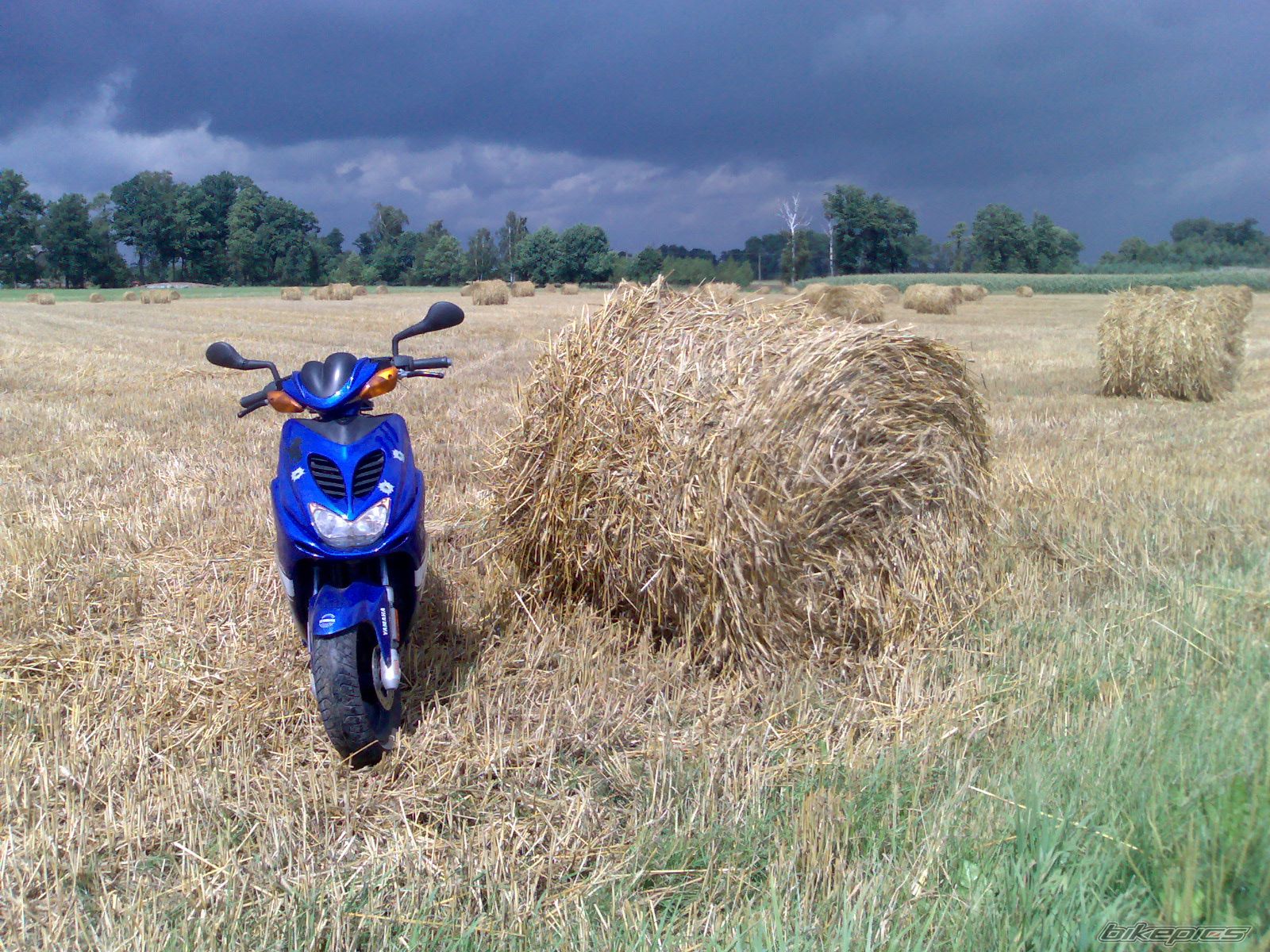 Photo 979952