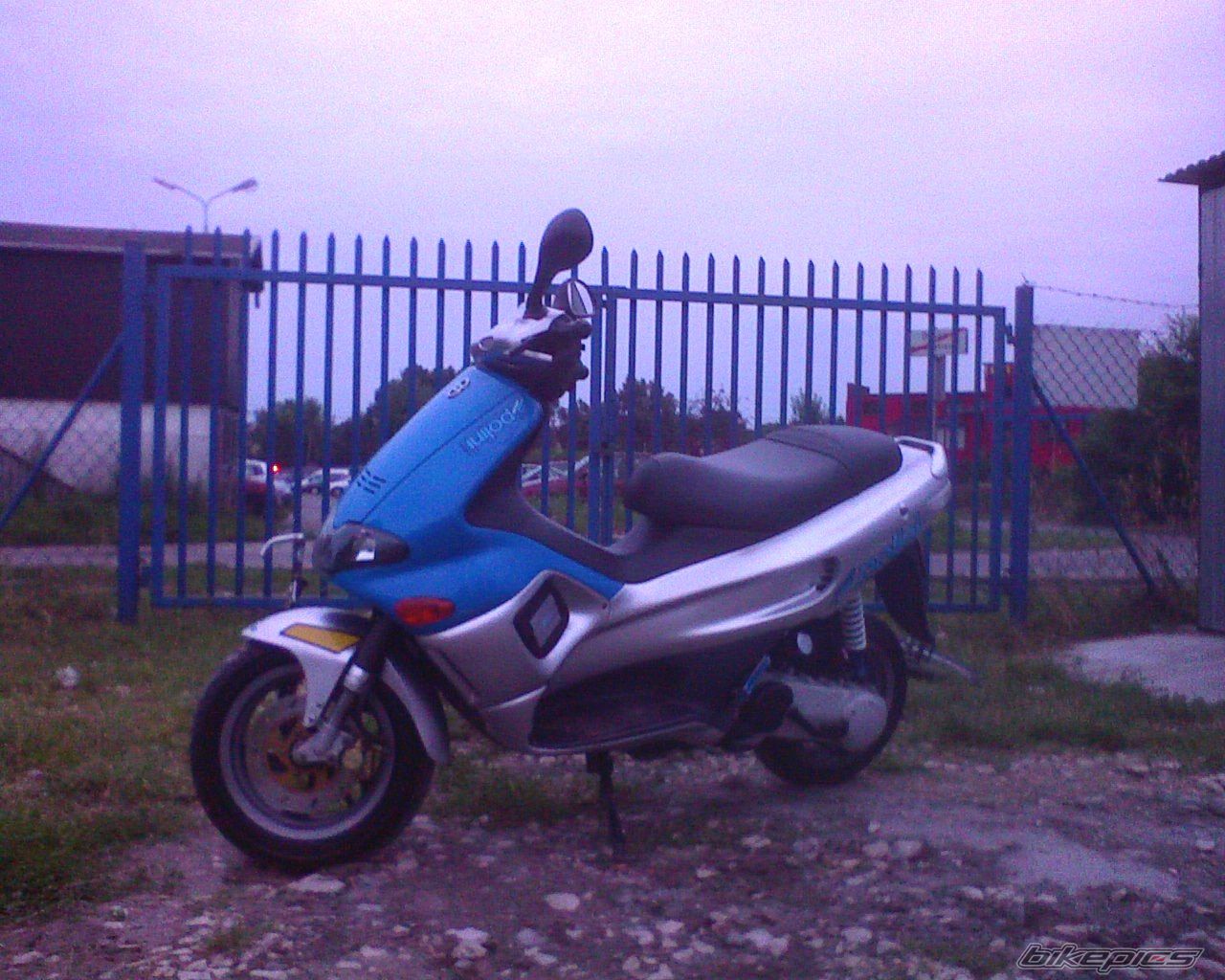 Photo 979987