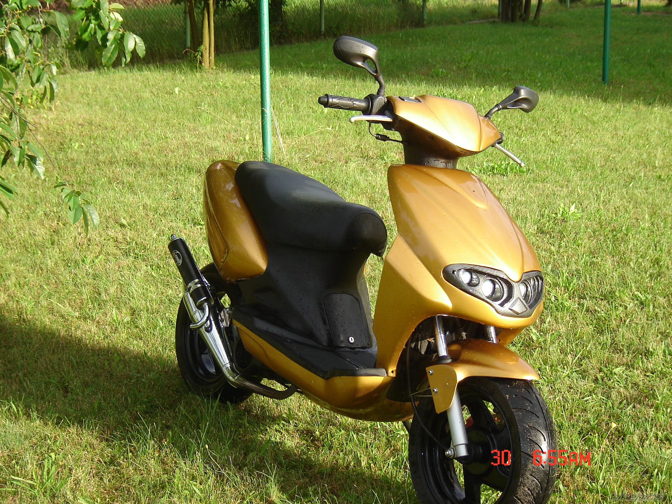 Photo 979995