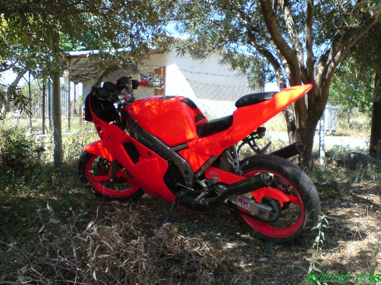Photo 980017