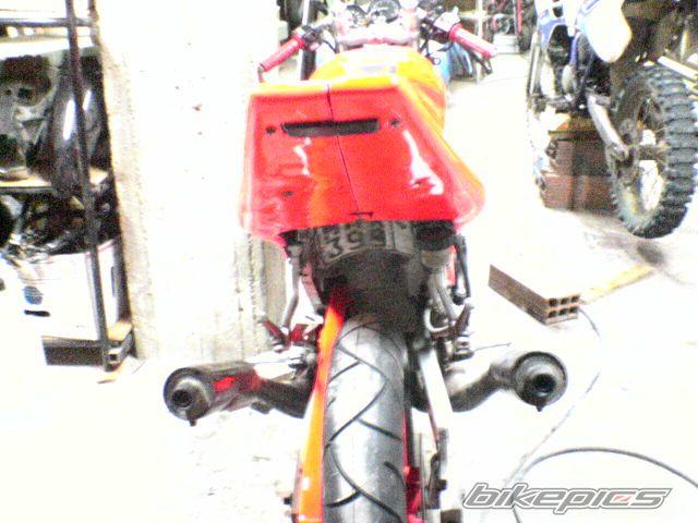 Photo 980019