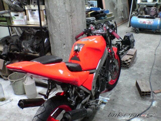 Photo 980021