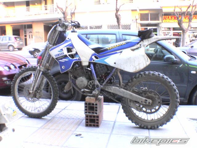 Photo 980032