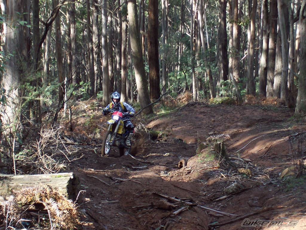 Photo 980073