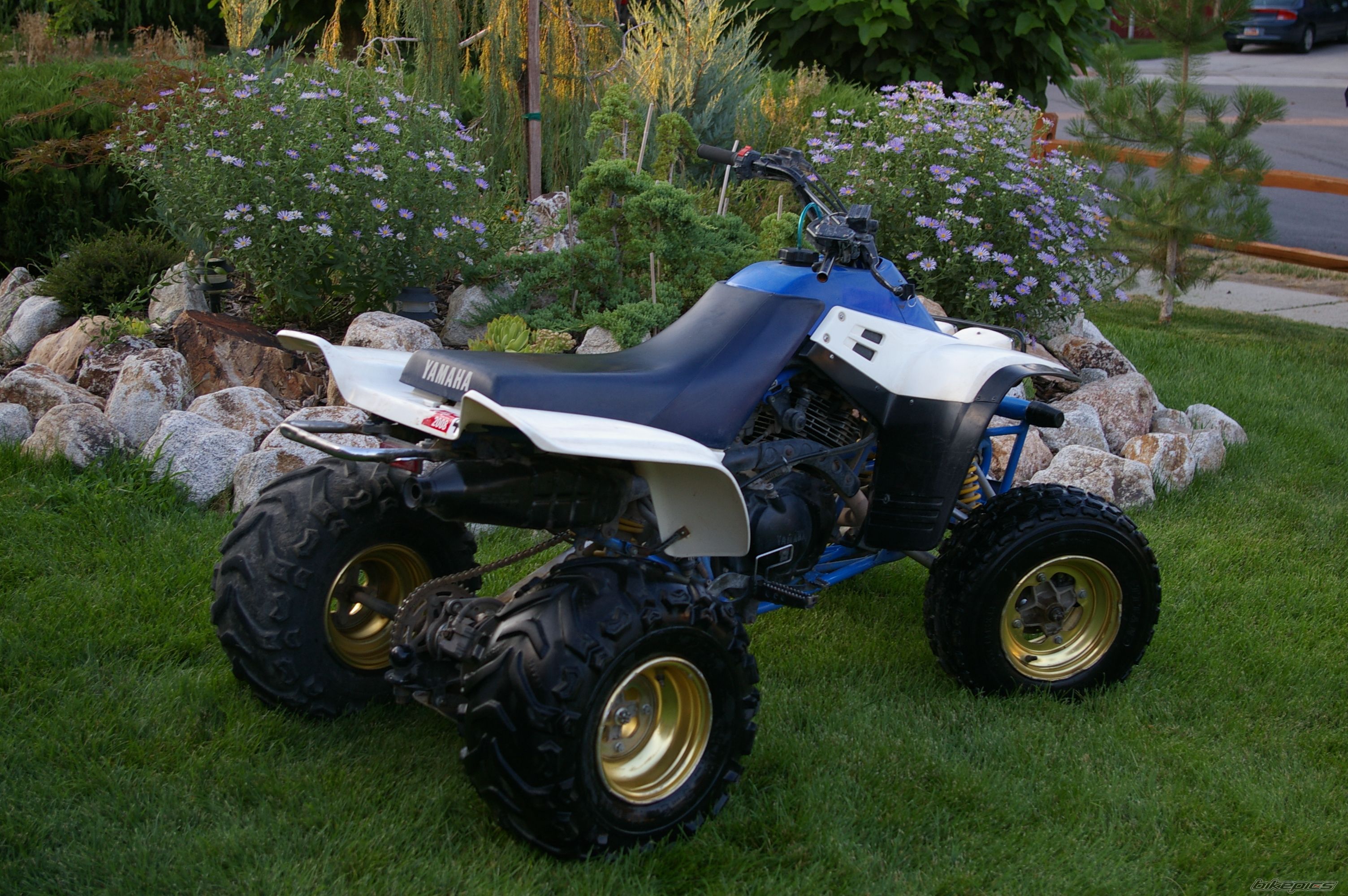 Photo 980112