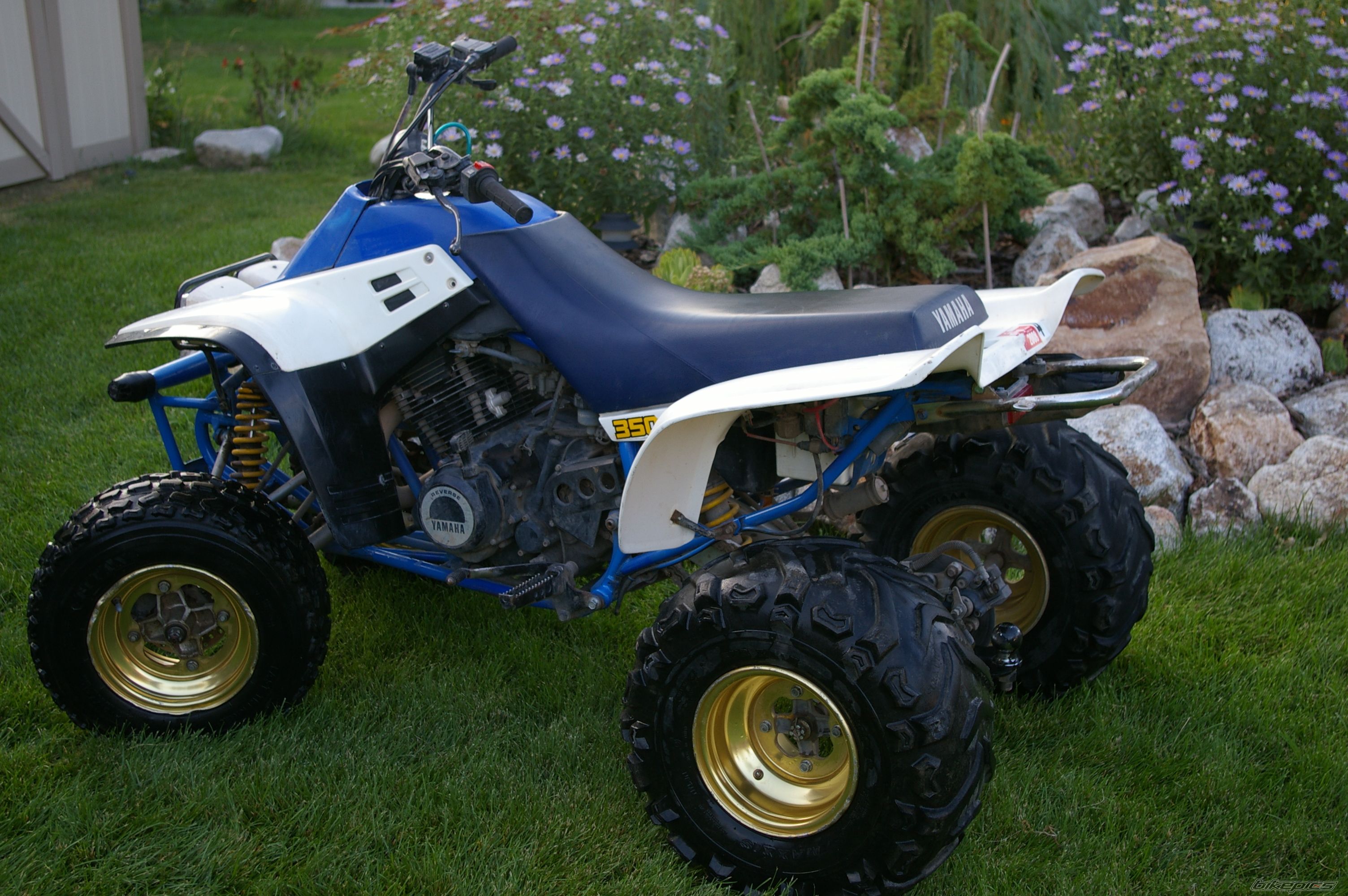 Bike Photo 980114