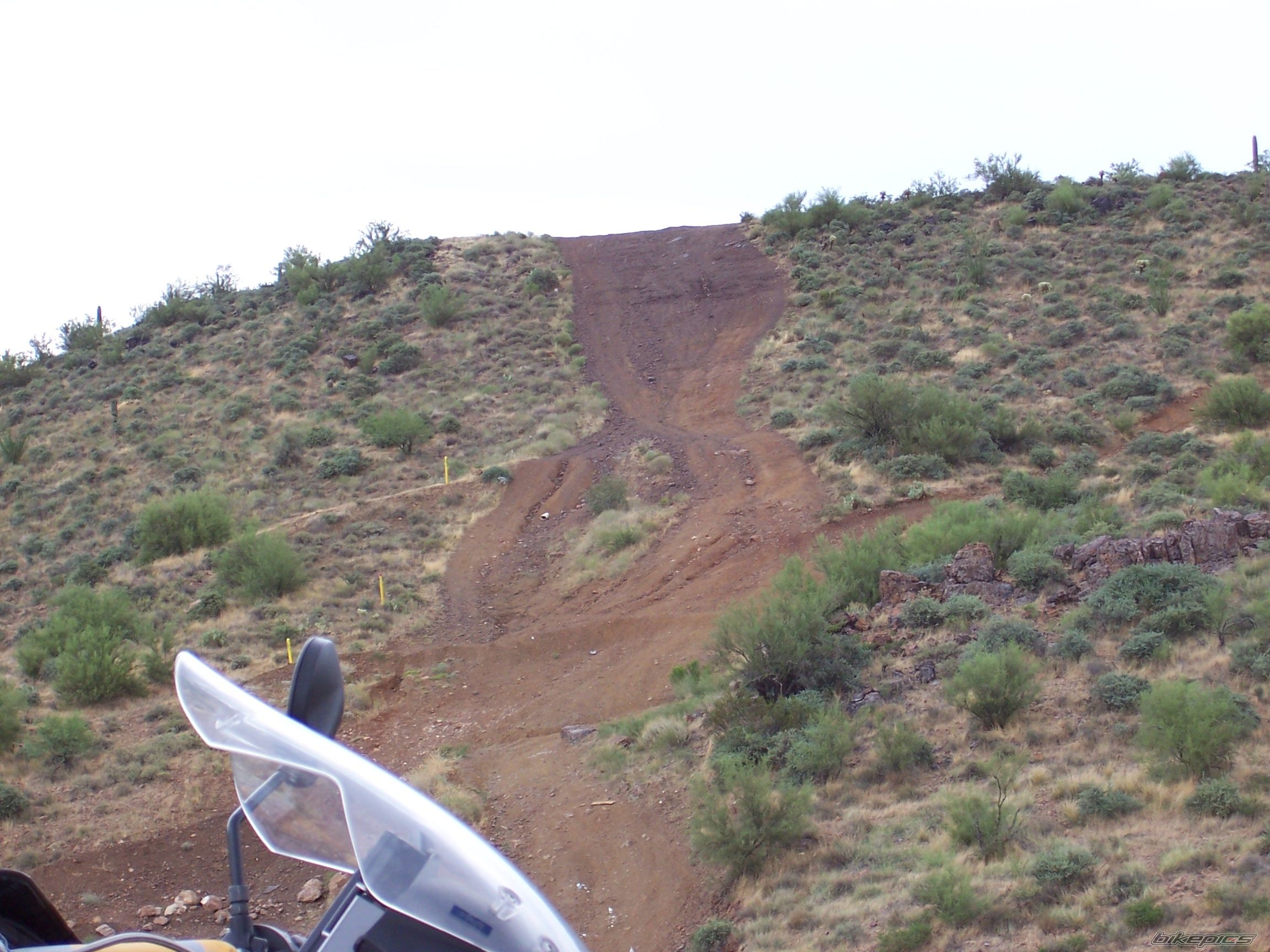 Photo 980163