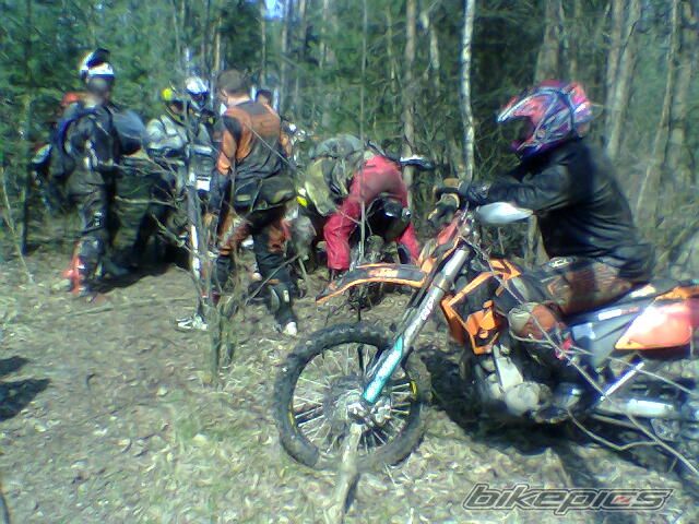 Photo 980262