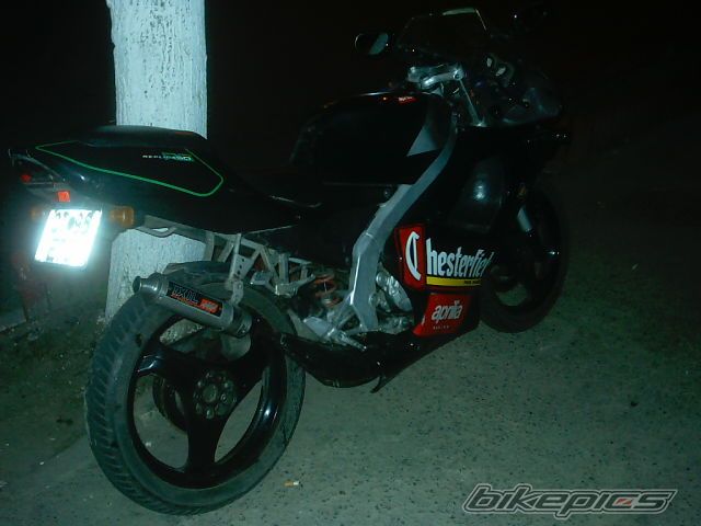 Photo 980286