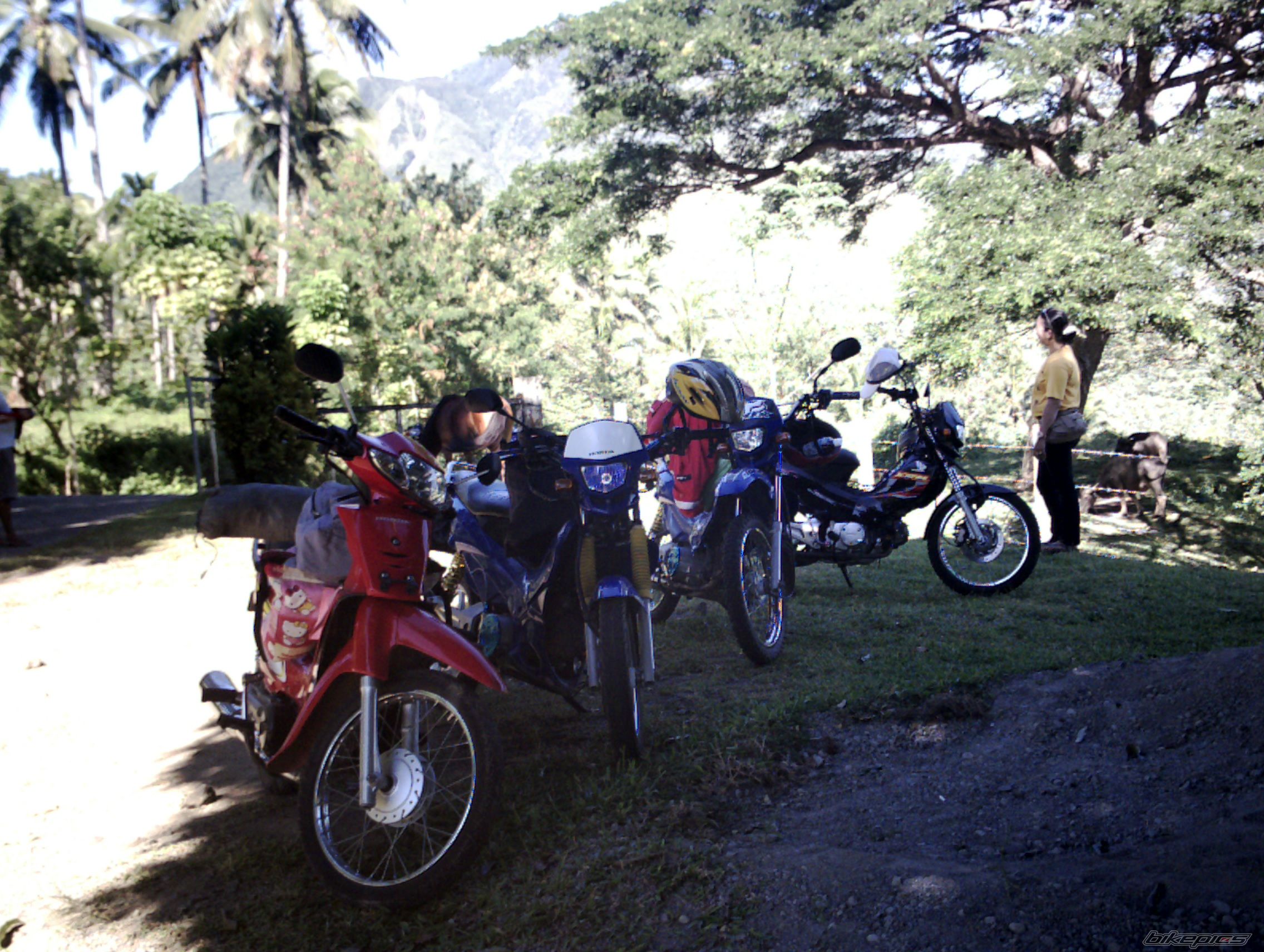 Photo 980496