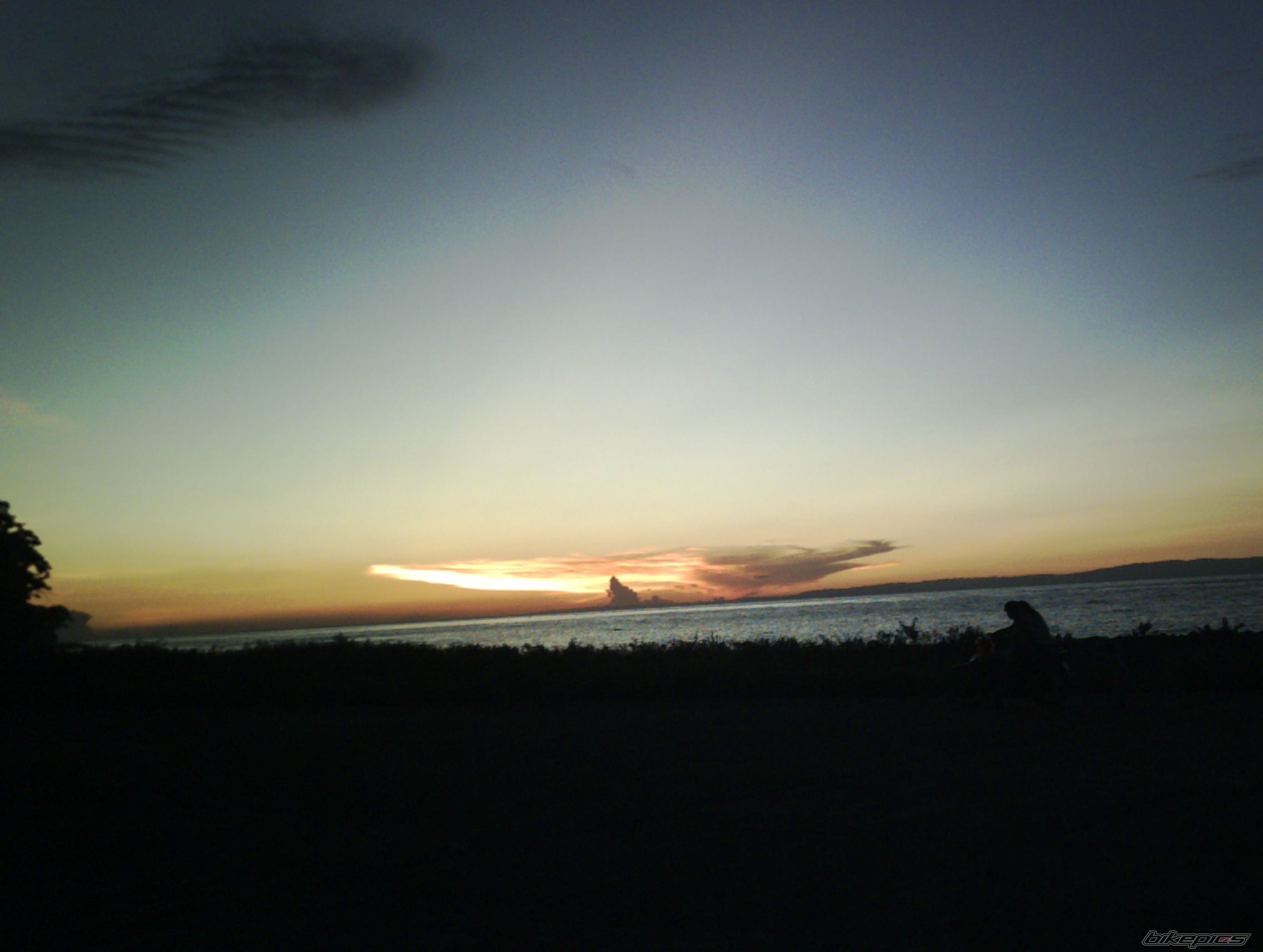 Photo 980498