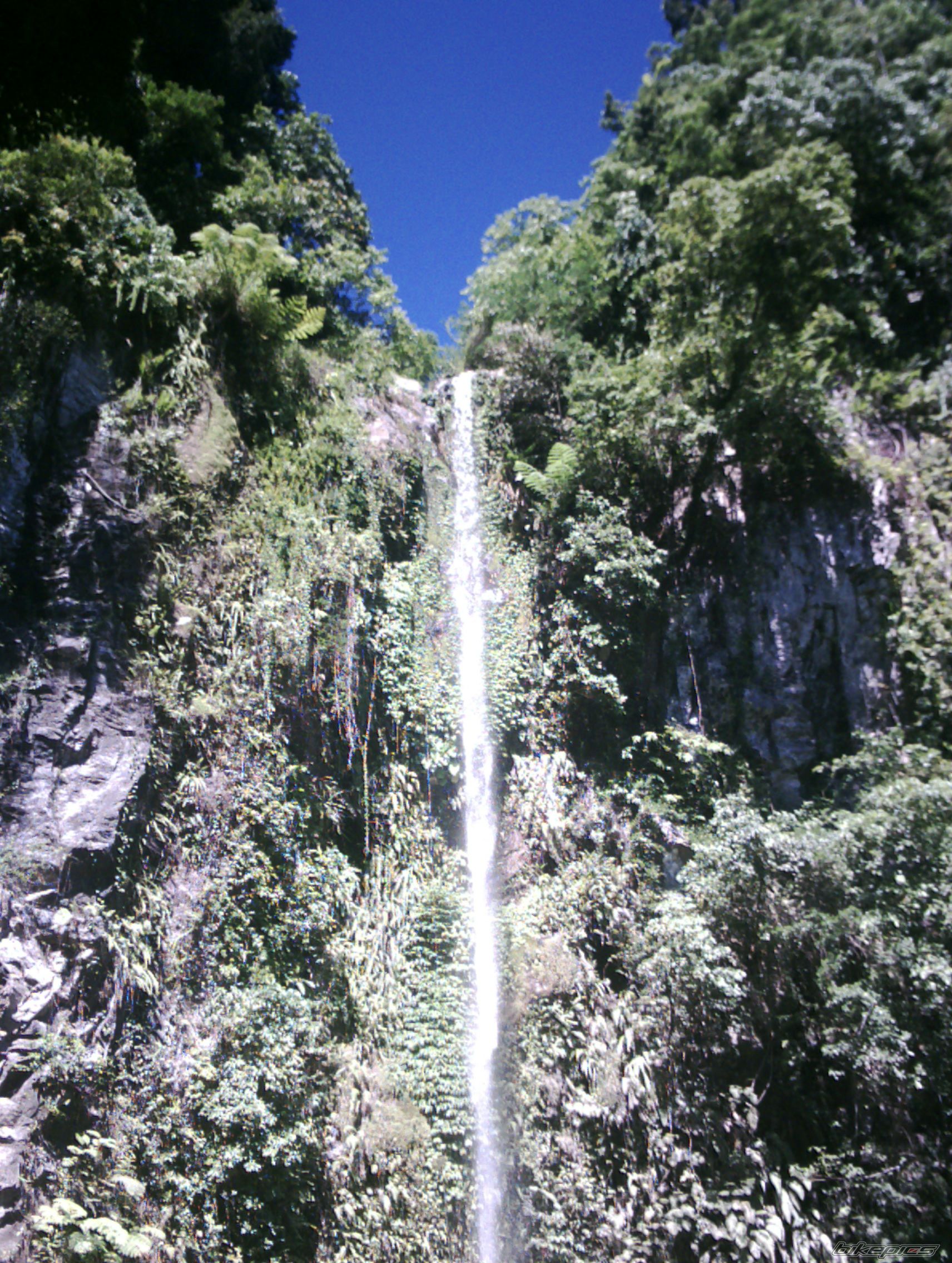 Photo 980501