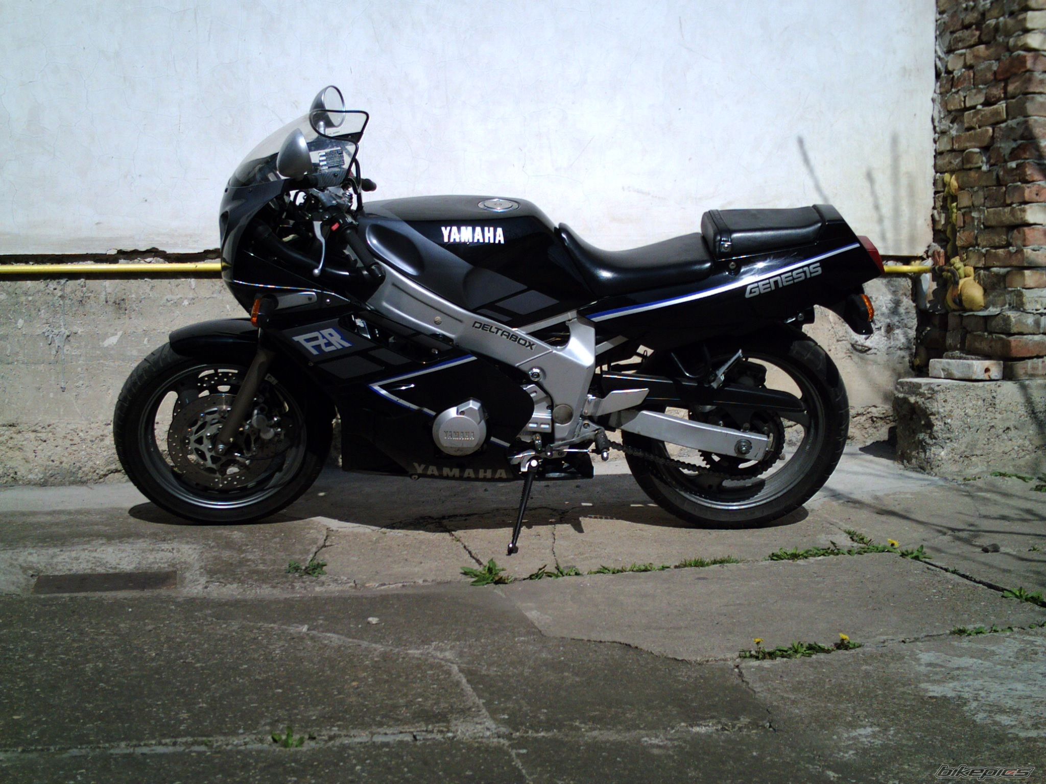 Photo 980537