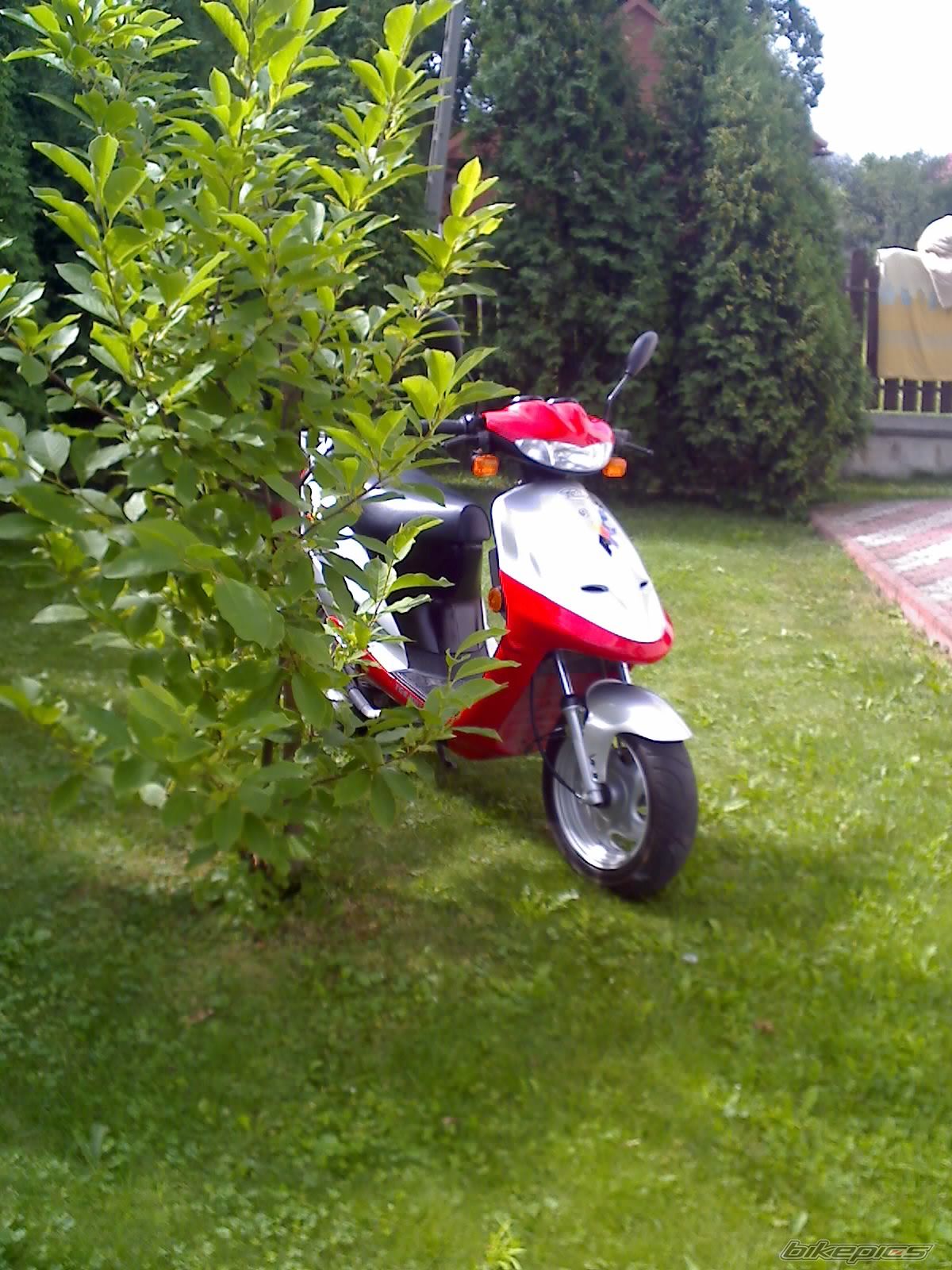 Photo 980597