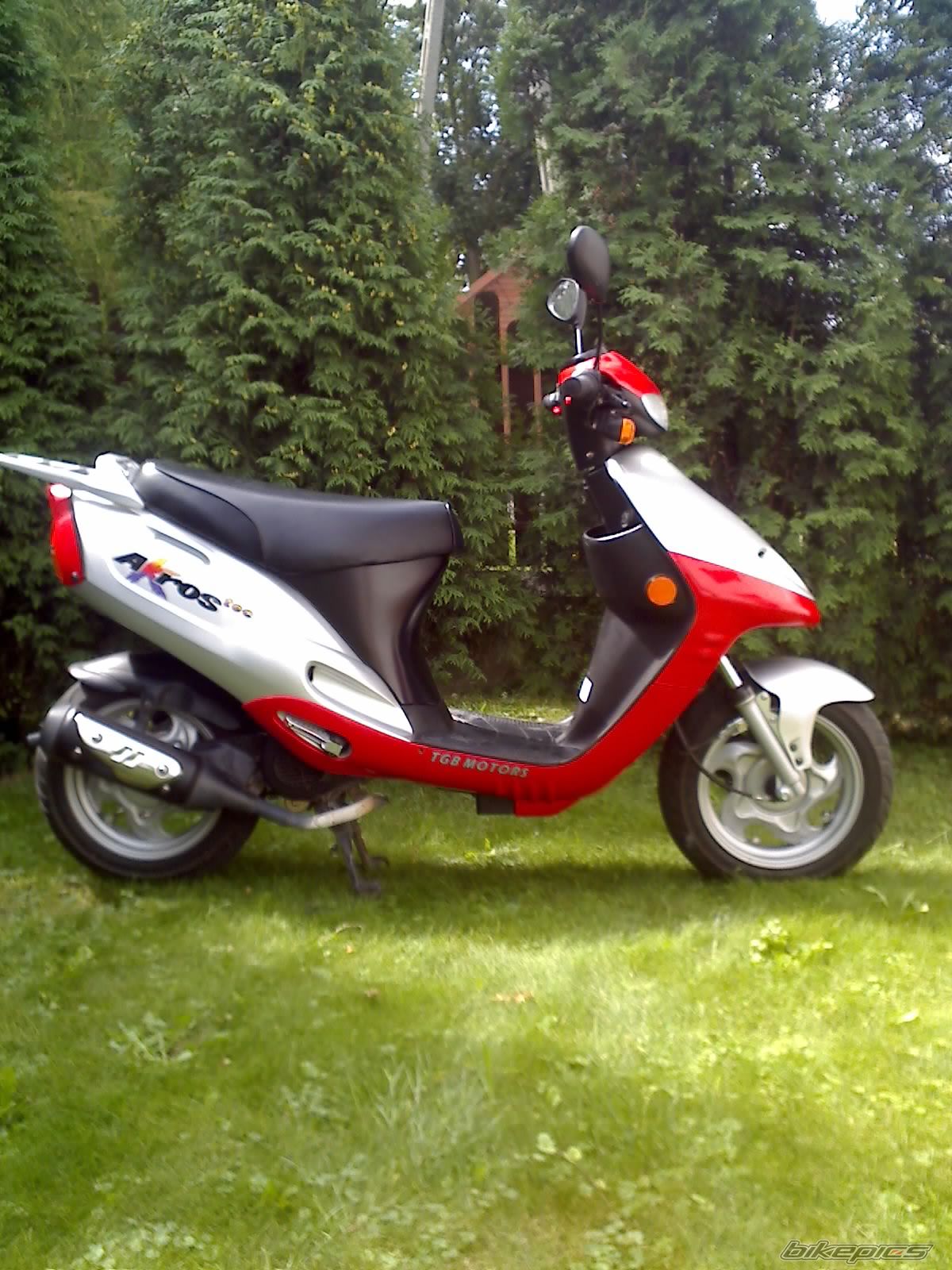 Photo 980601