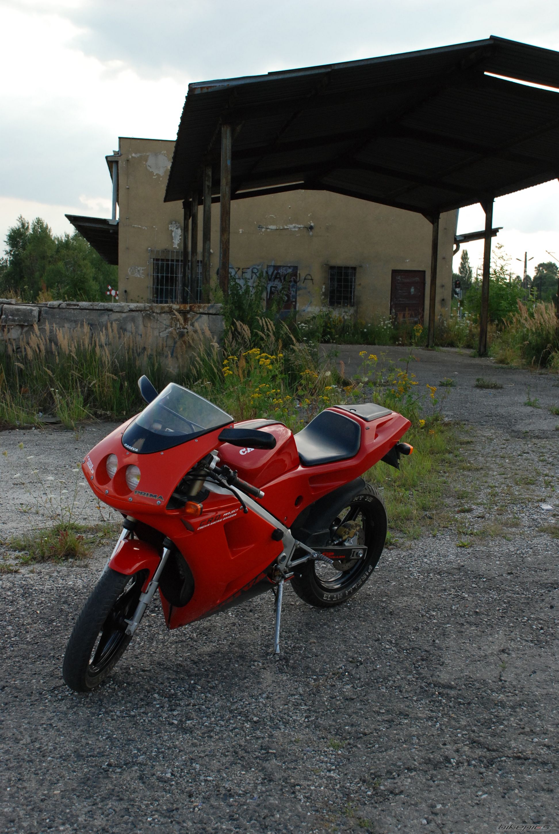 Photo 980671