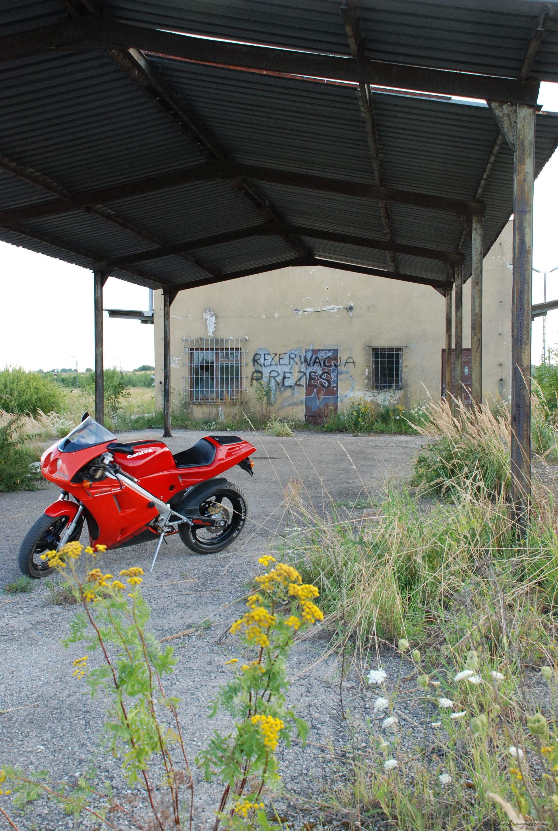 Photo 980686