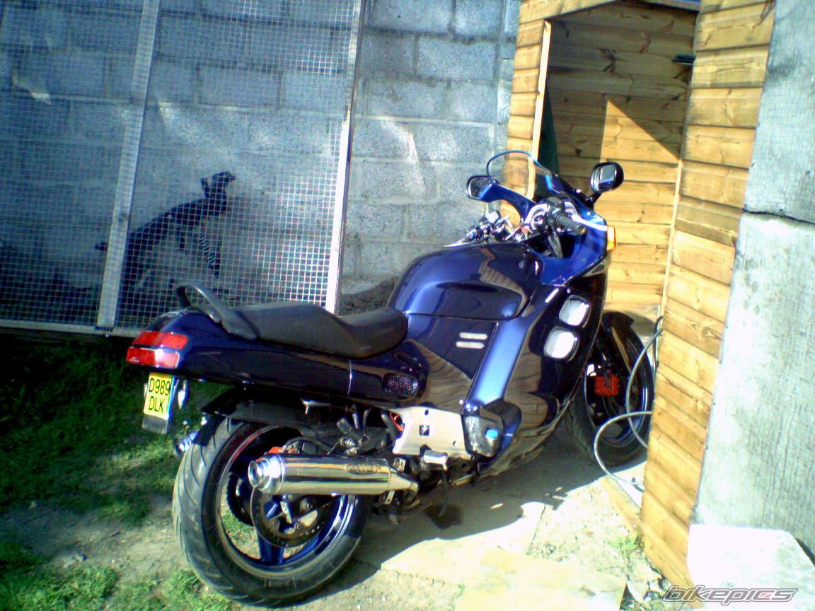Photo 980710