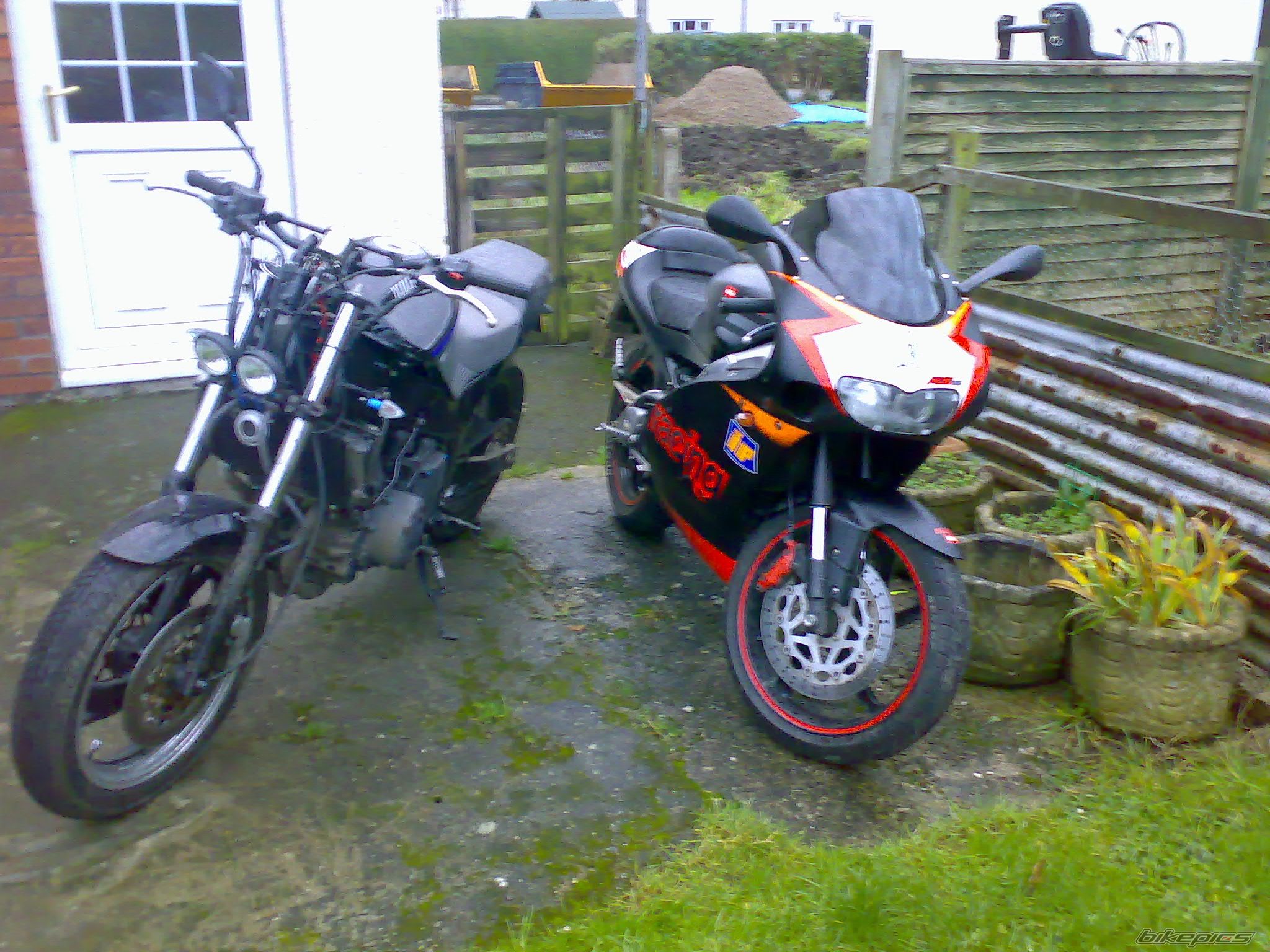 Photo 980720