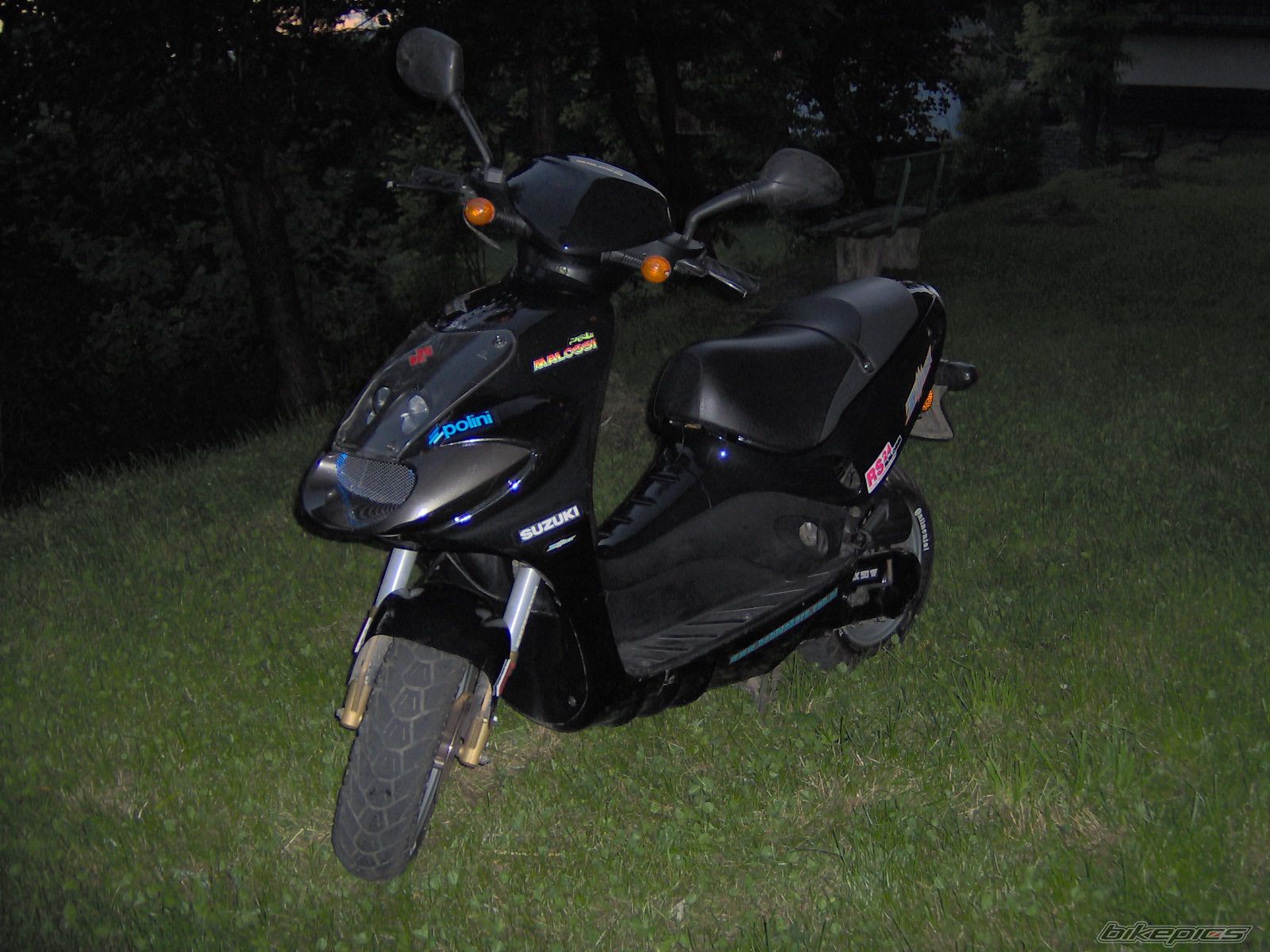 Photo 980731
