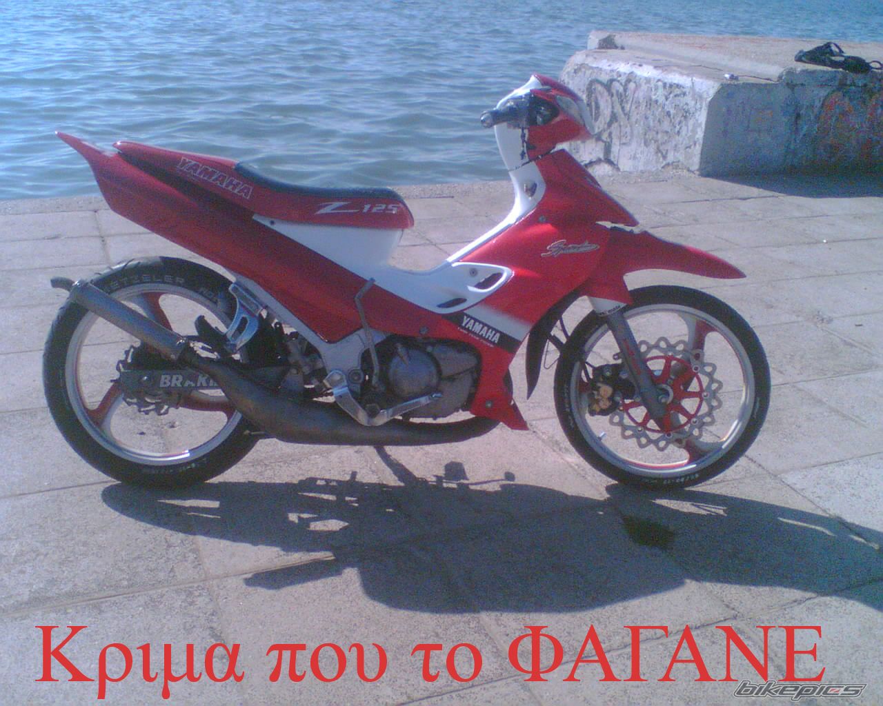 Bike Photo 980775