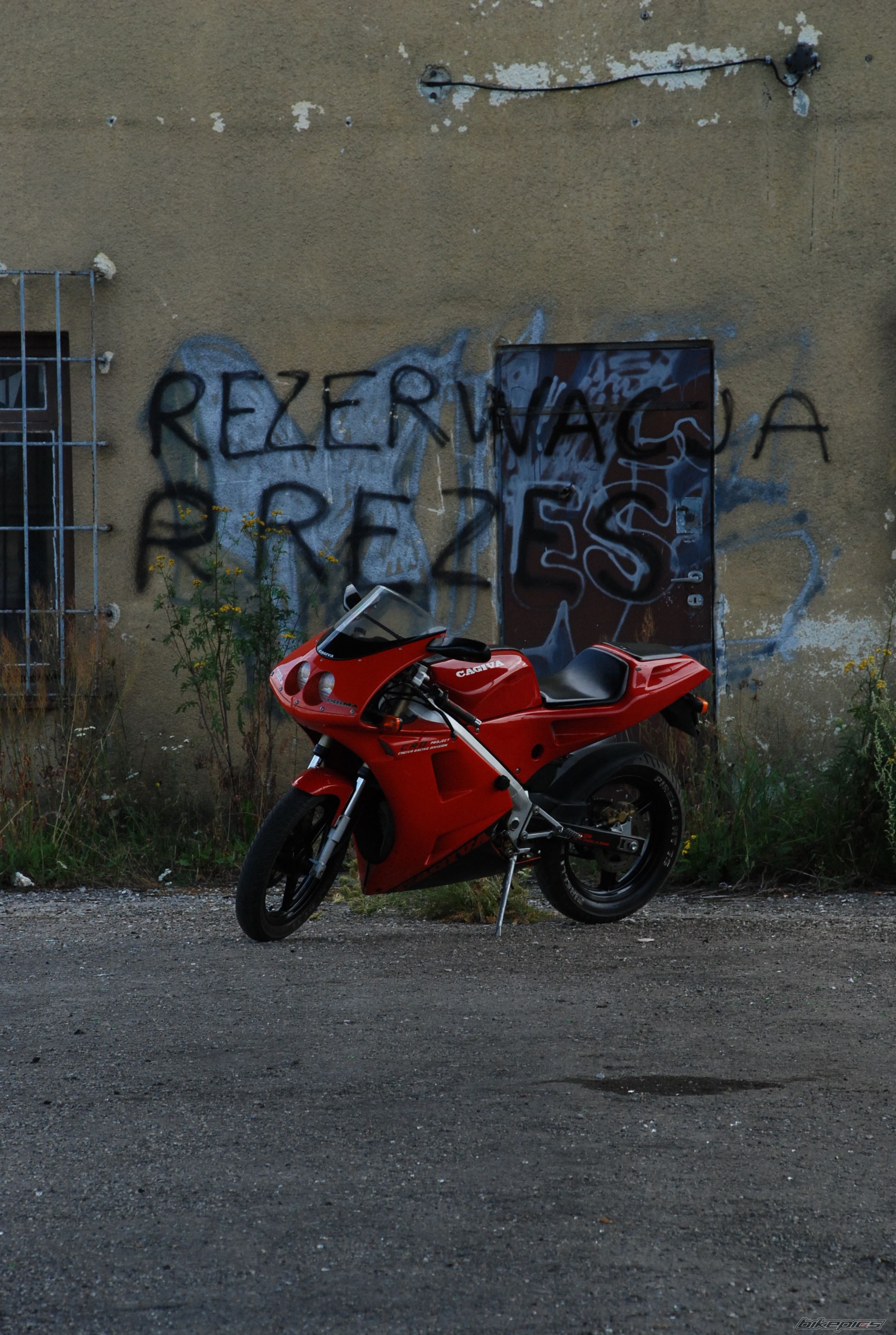 Photo 980779