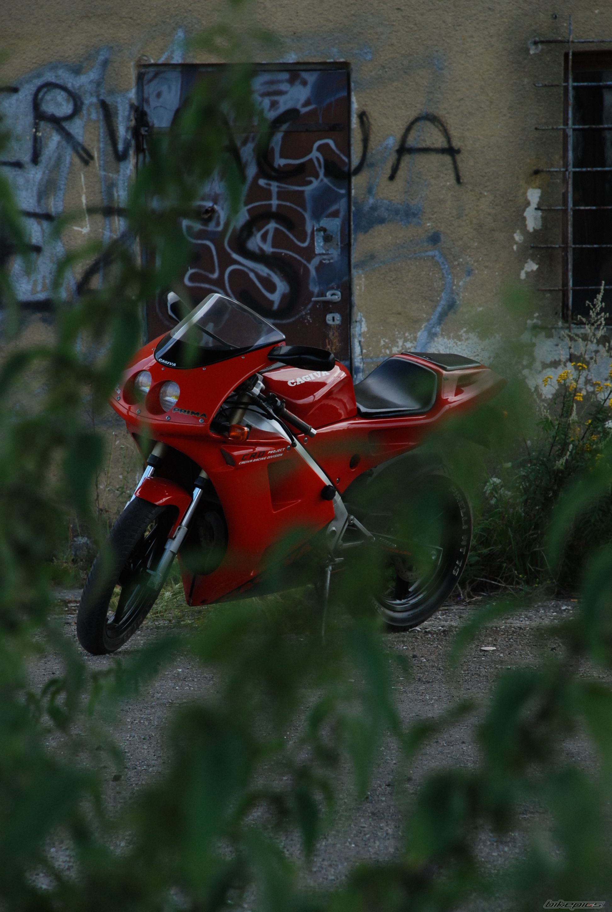 Photo 980784