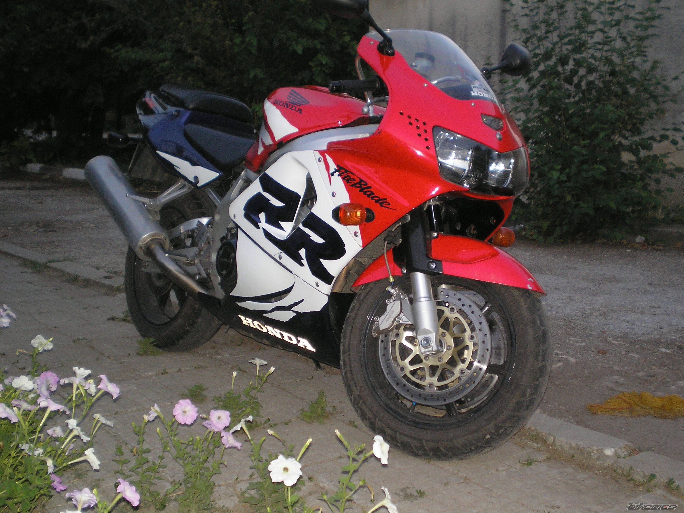 Bike Photo 980901