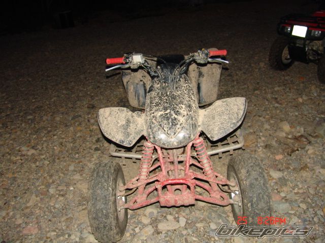 Photo 980930