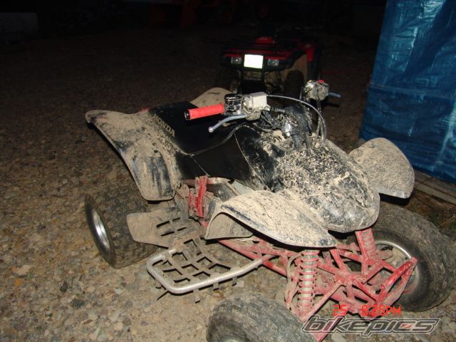 Photo 980934