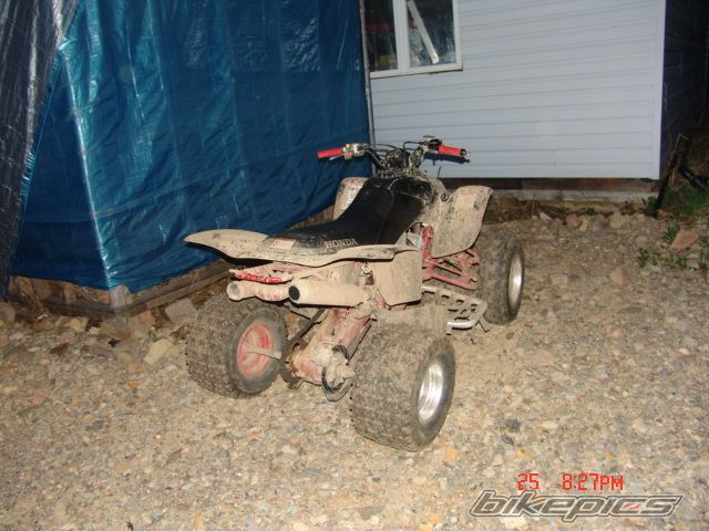 Photo 980935