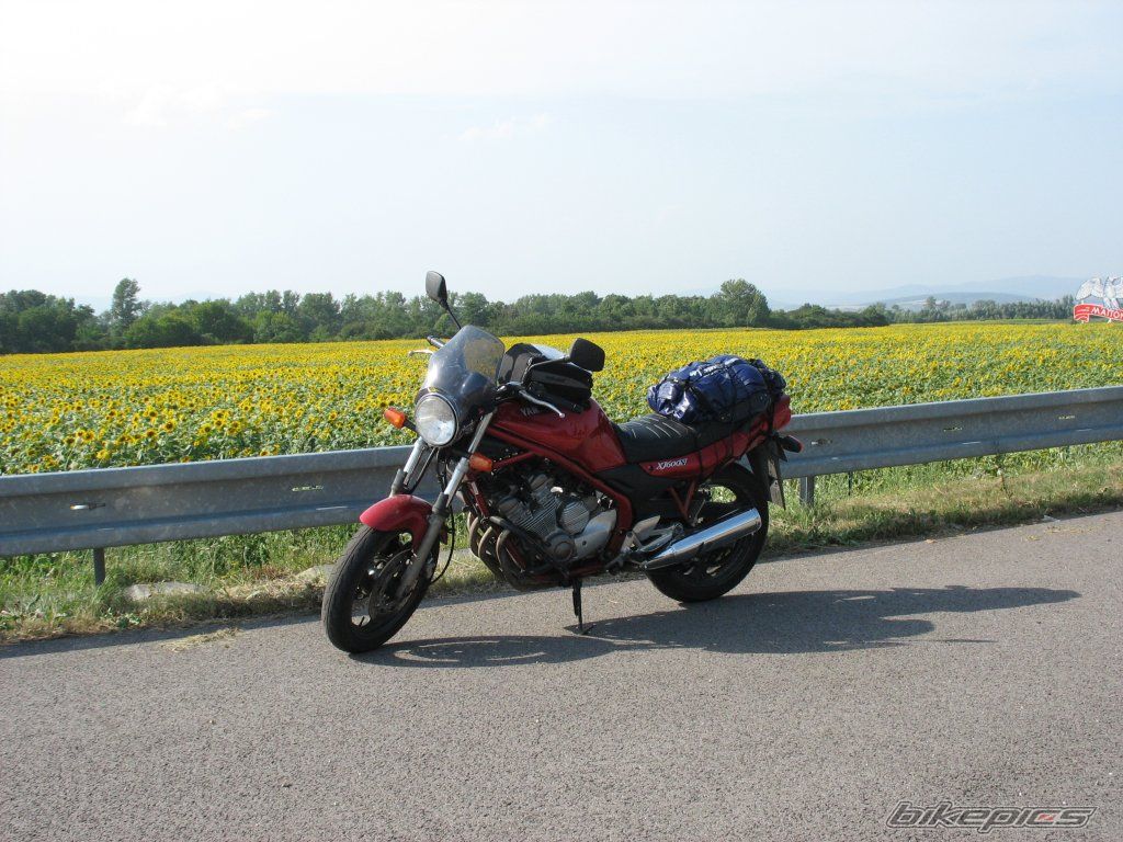 Photo 980944