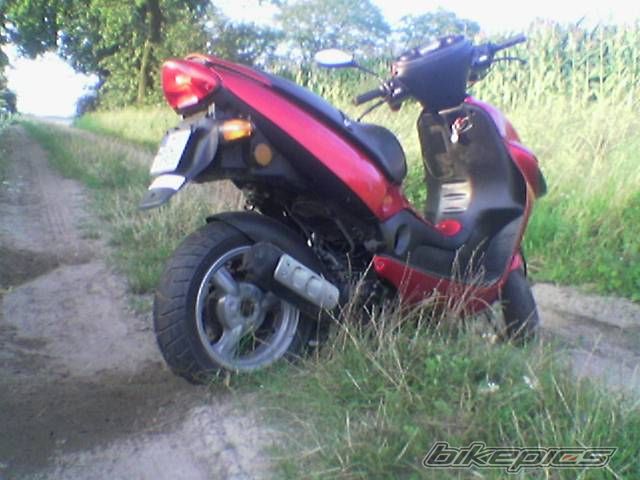 Photo 980996